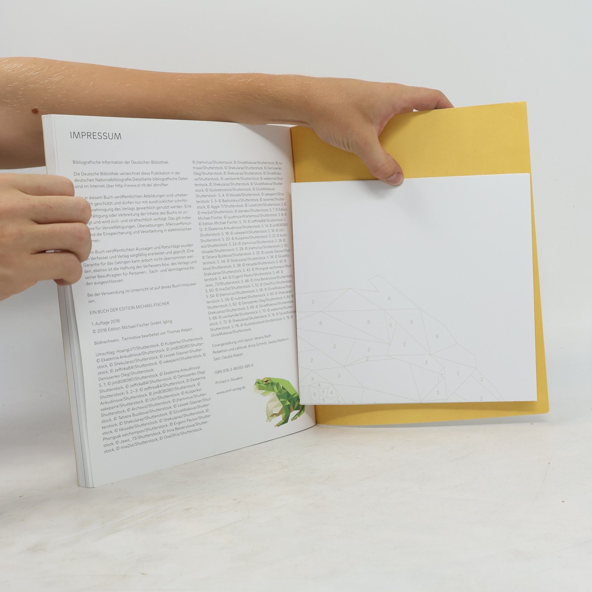 Edition Michael Fischer Tierisch geometrisch - Malen nach Zahlen: Lieblingstiere ausmalen