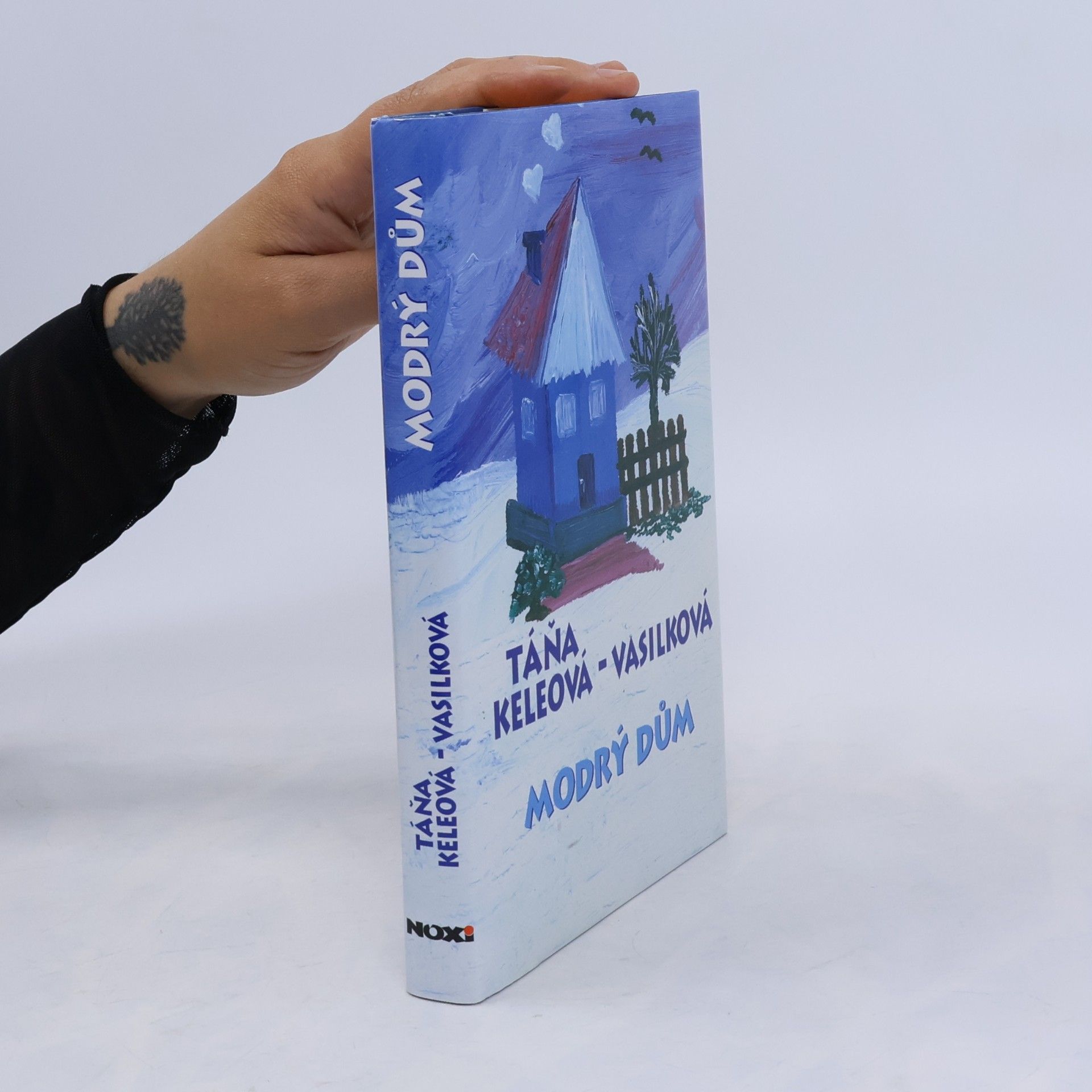 Táňa Keleová-Vasilková Modrý dům