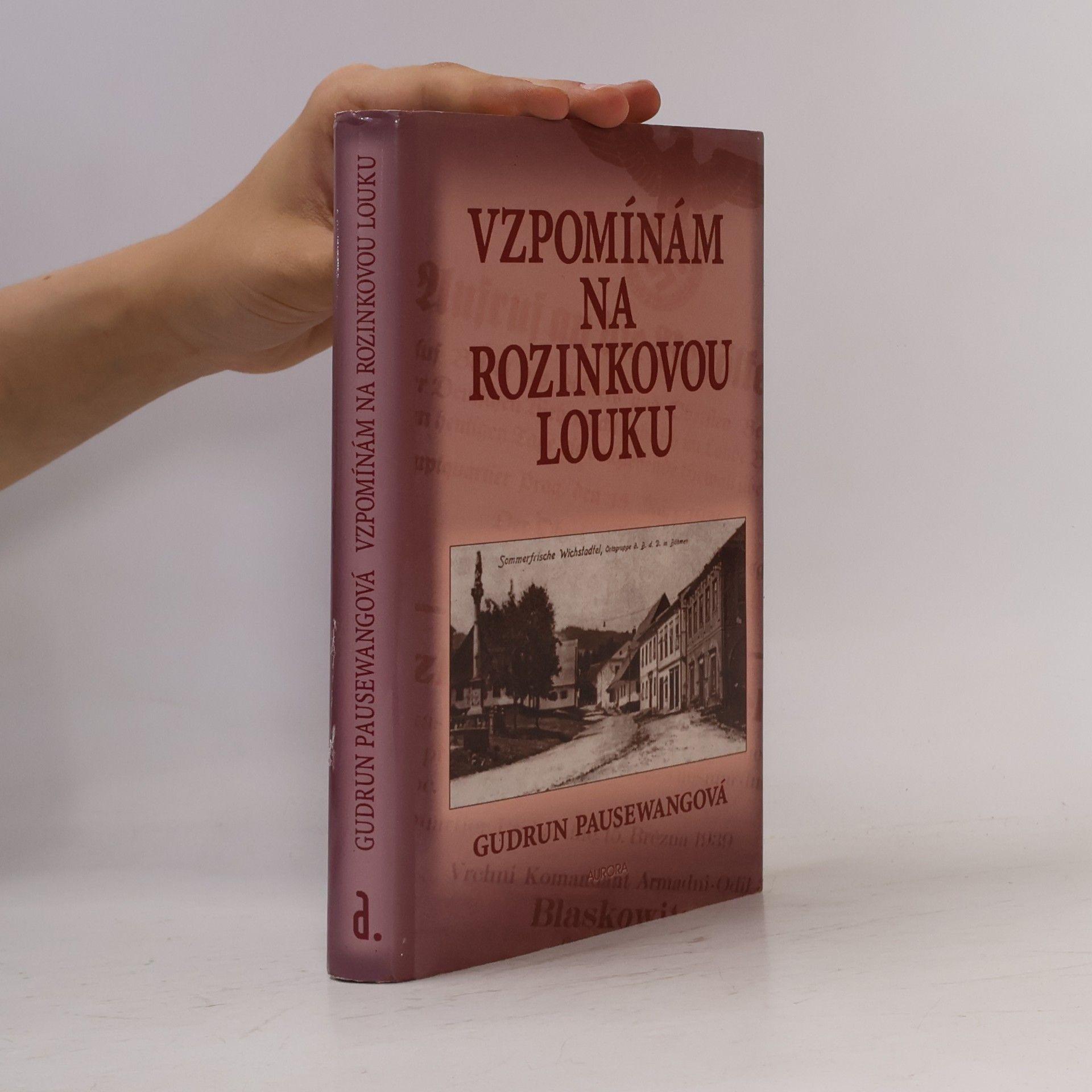 Vzpomínám na Rozinkovou louku