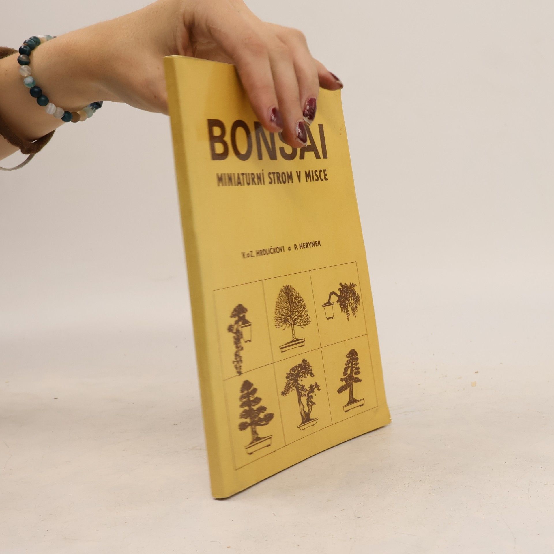 Zdeněk Hrdlička Bonsai. Miniaturní strom v misce