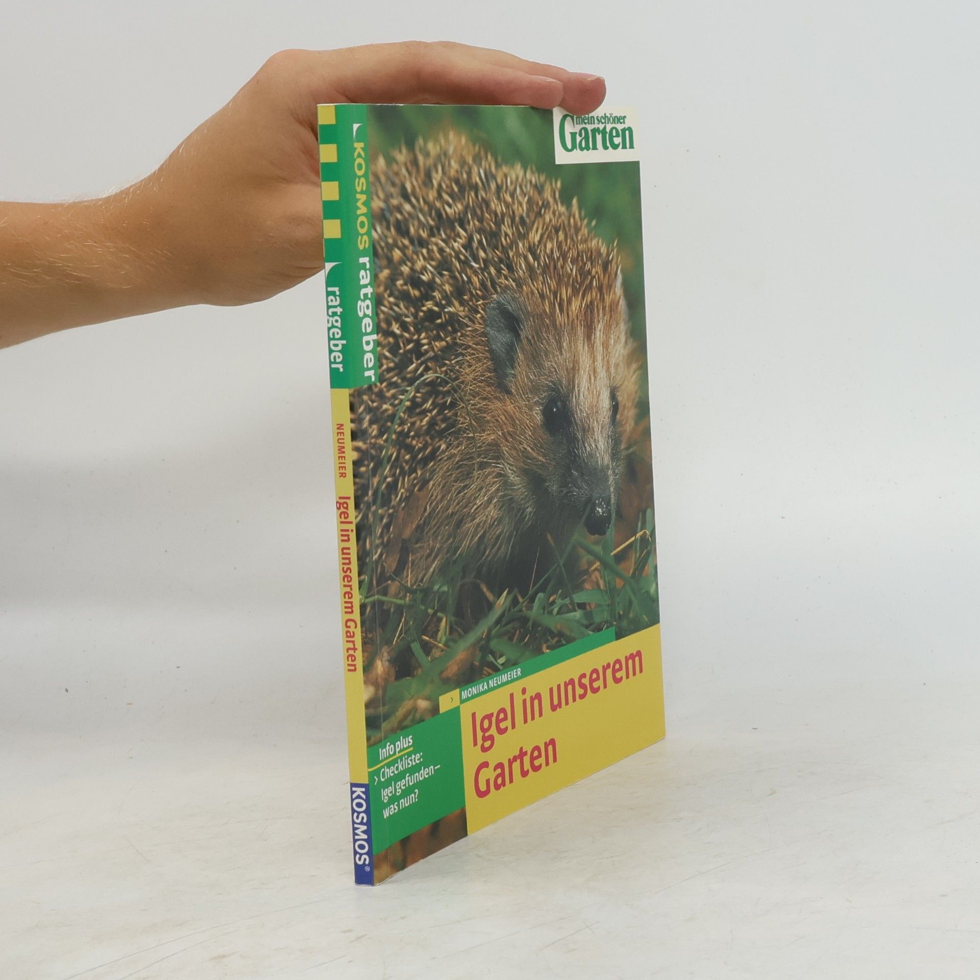 Monika Neumeier Igel in unserem Garten