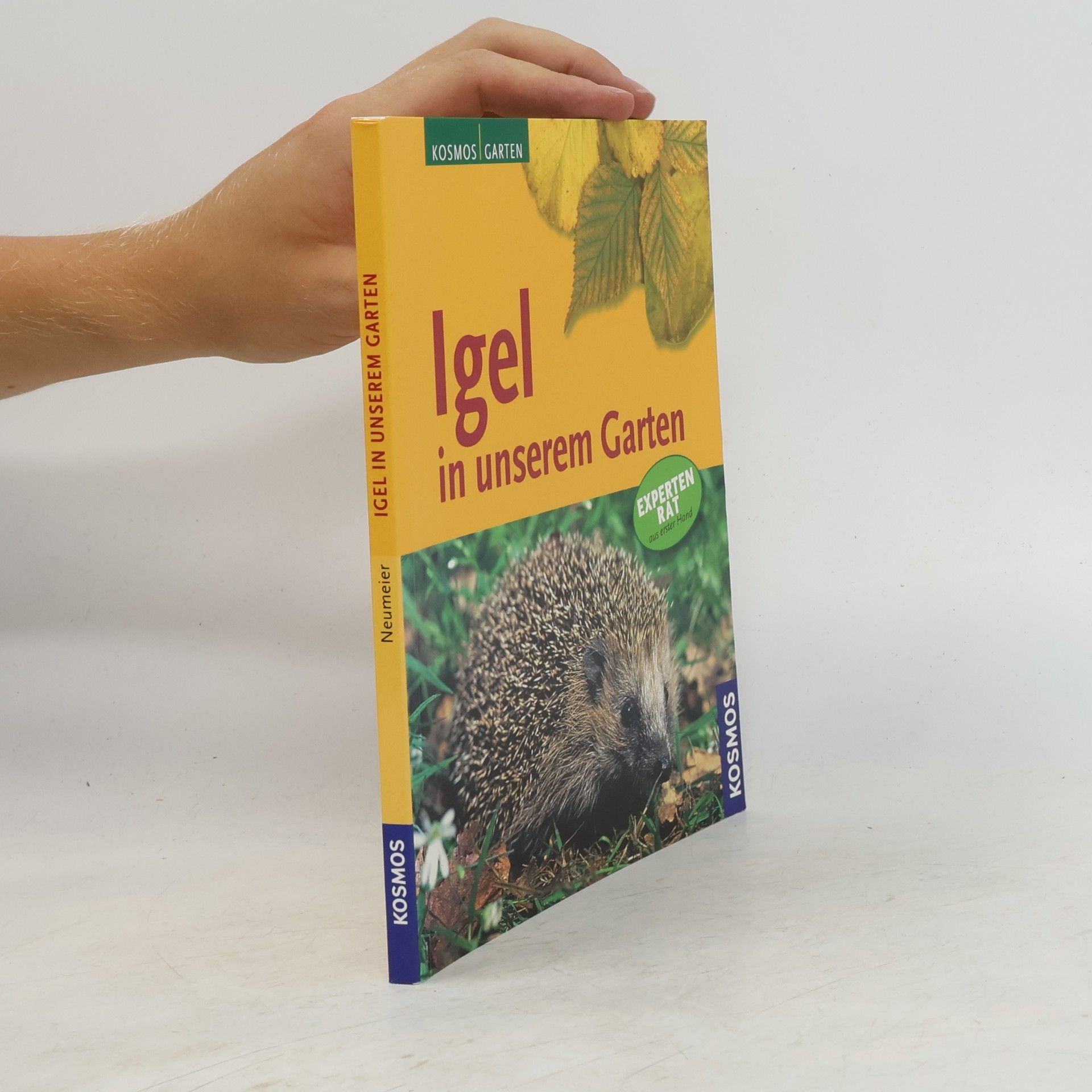 Monika Neumeier Igel in unserem Garten