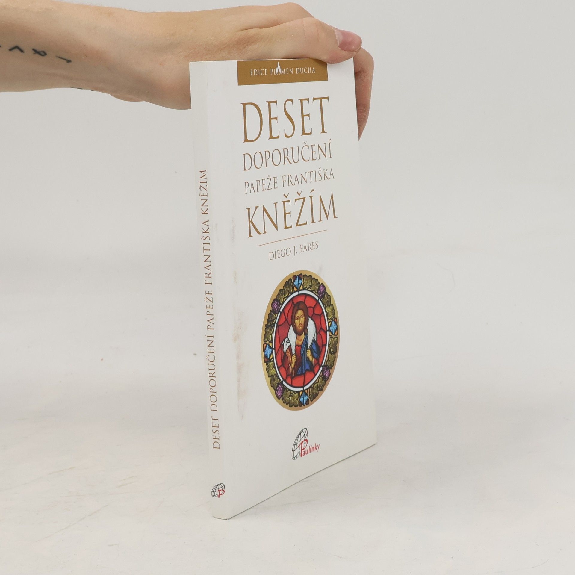 Diego J. Fares Deset doporučení papeže Františka kněžím