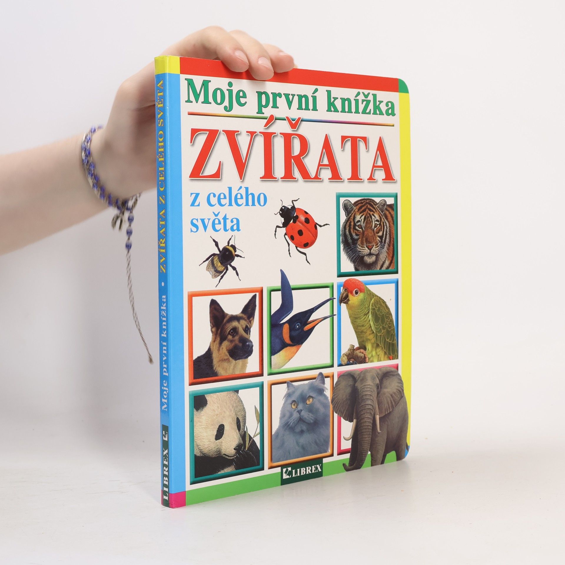 Kolektiv autorů Zvířata z celého světa