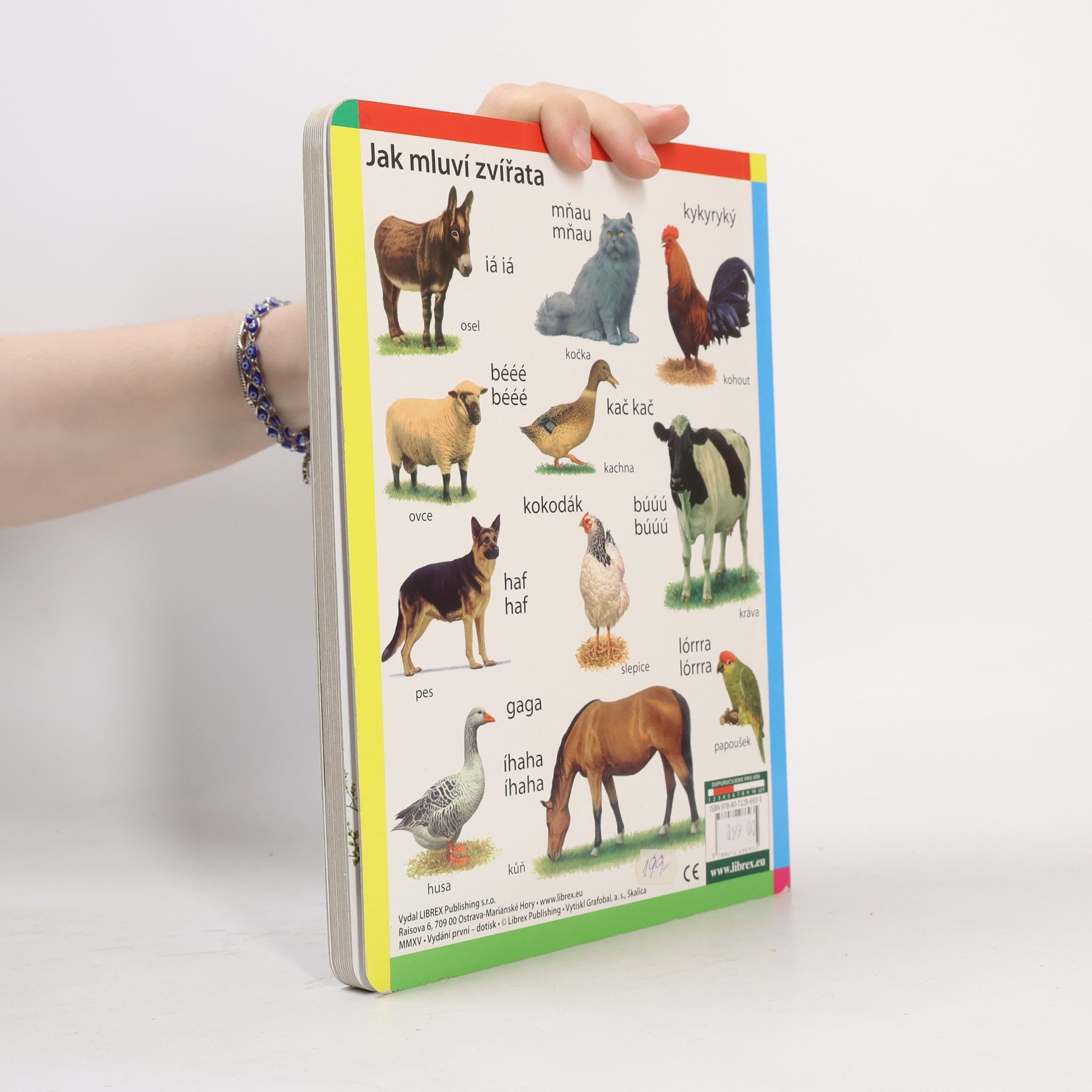 Autores varios Zvířata z celého světa