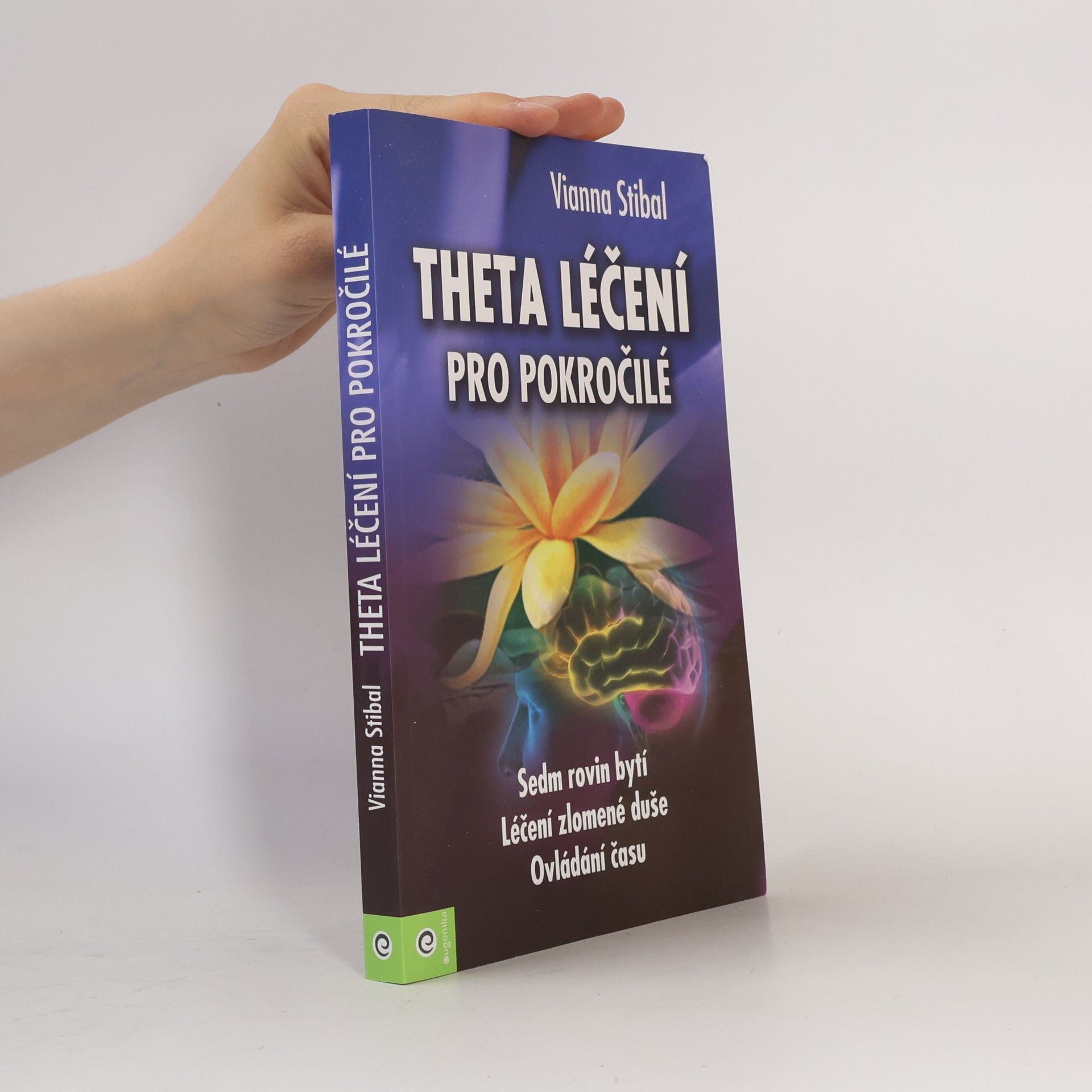 Vianna Stibal Theta léčení pro pokročilé