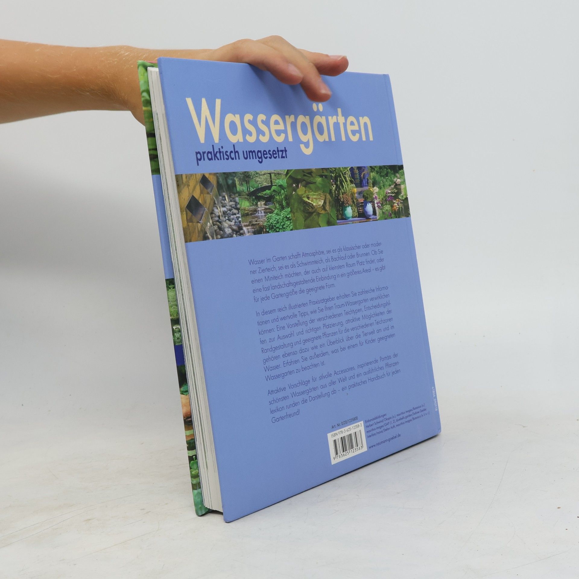 Christine Weidenweber Wassergärten praktisch umgesetzt