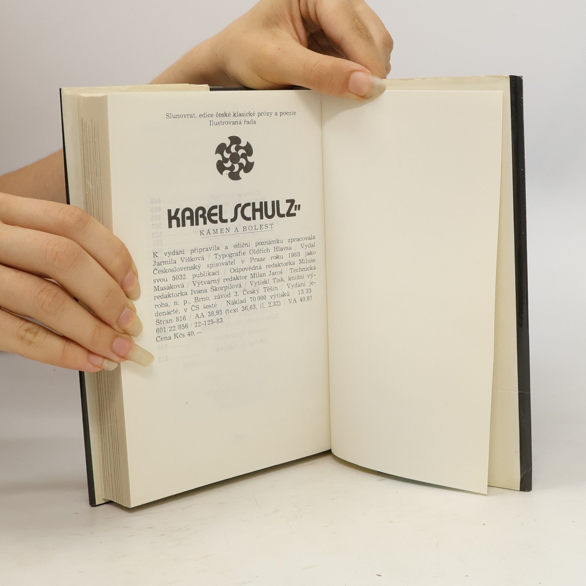 Karel Schulz Kámen a bolest
