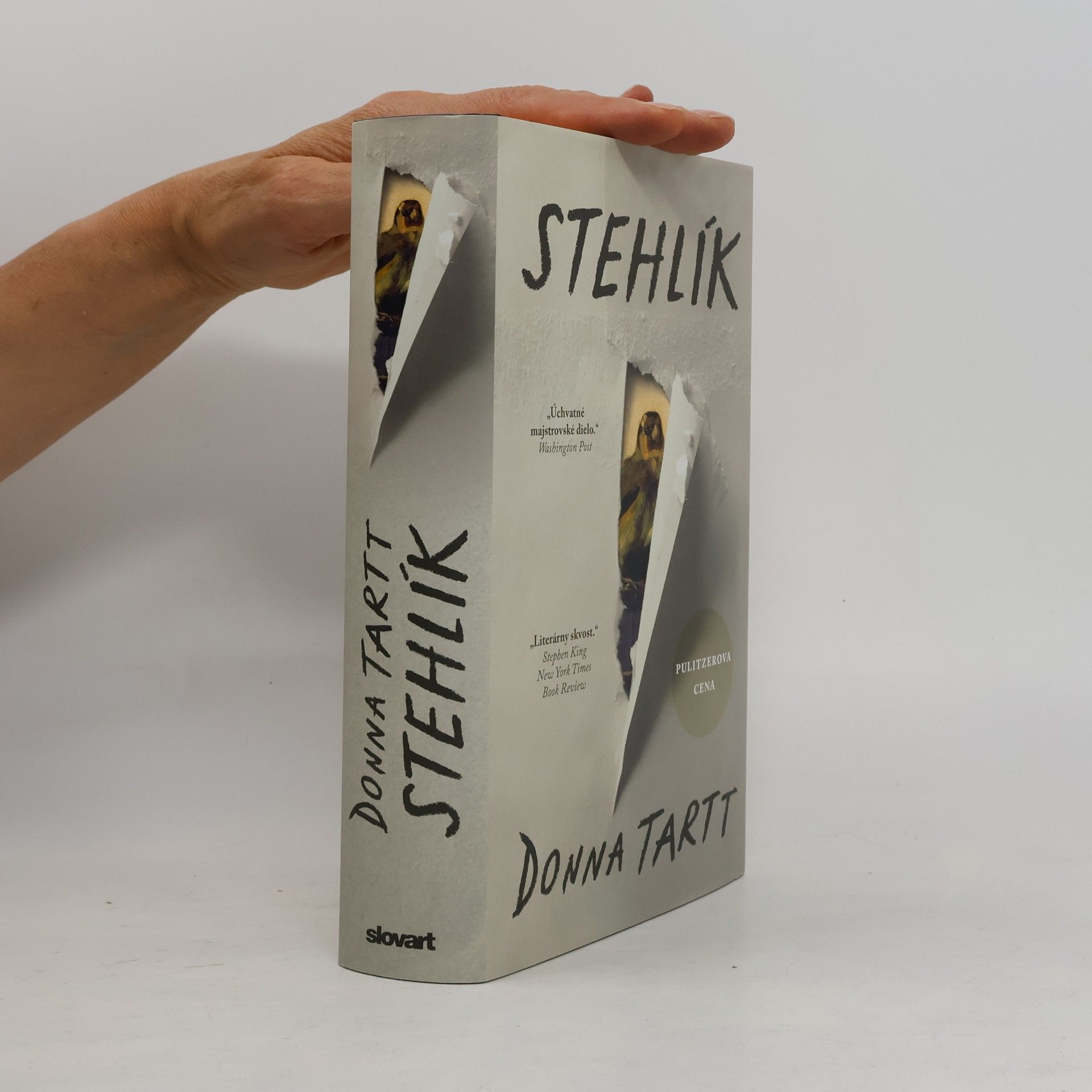 Donna Tartt Stehlík