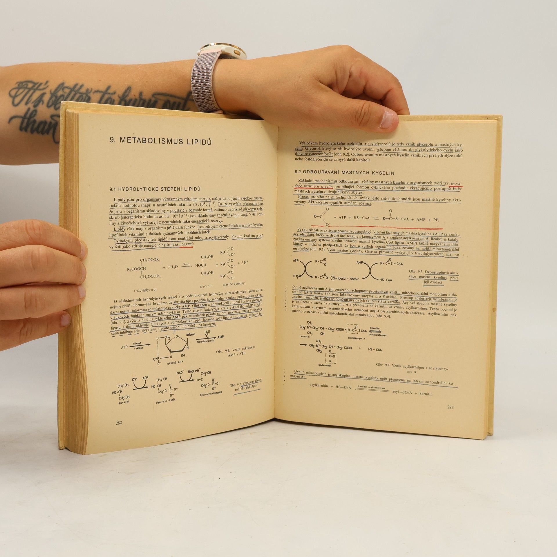 Vl. Šícho Potravinářská biochemie