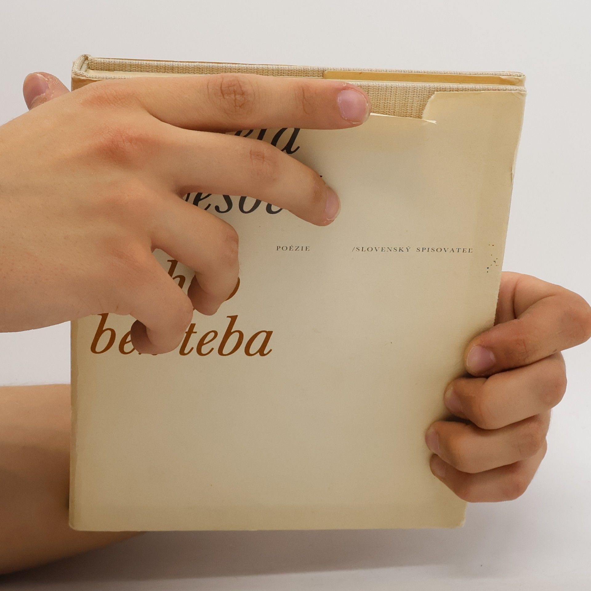 Daniela Hivešová Šilanová Pohyb bez teba