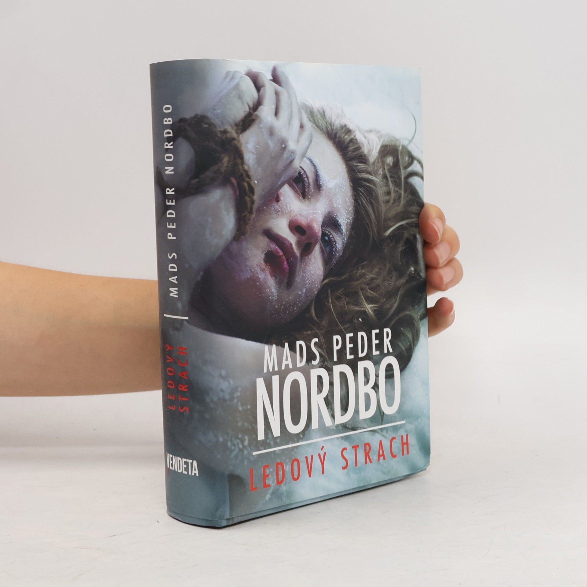 Mads Peder Nordbo Ledový strach