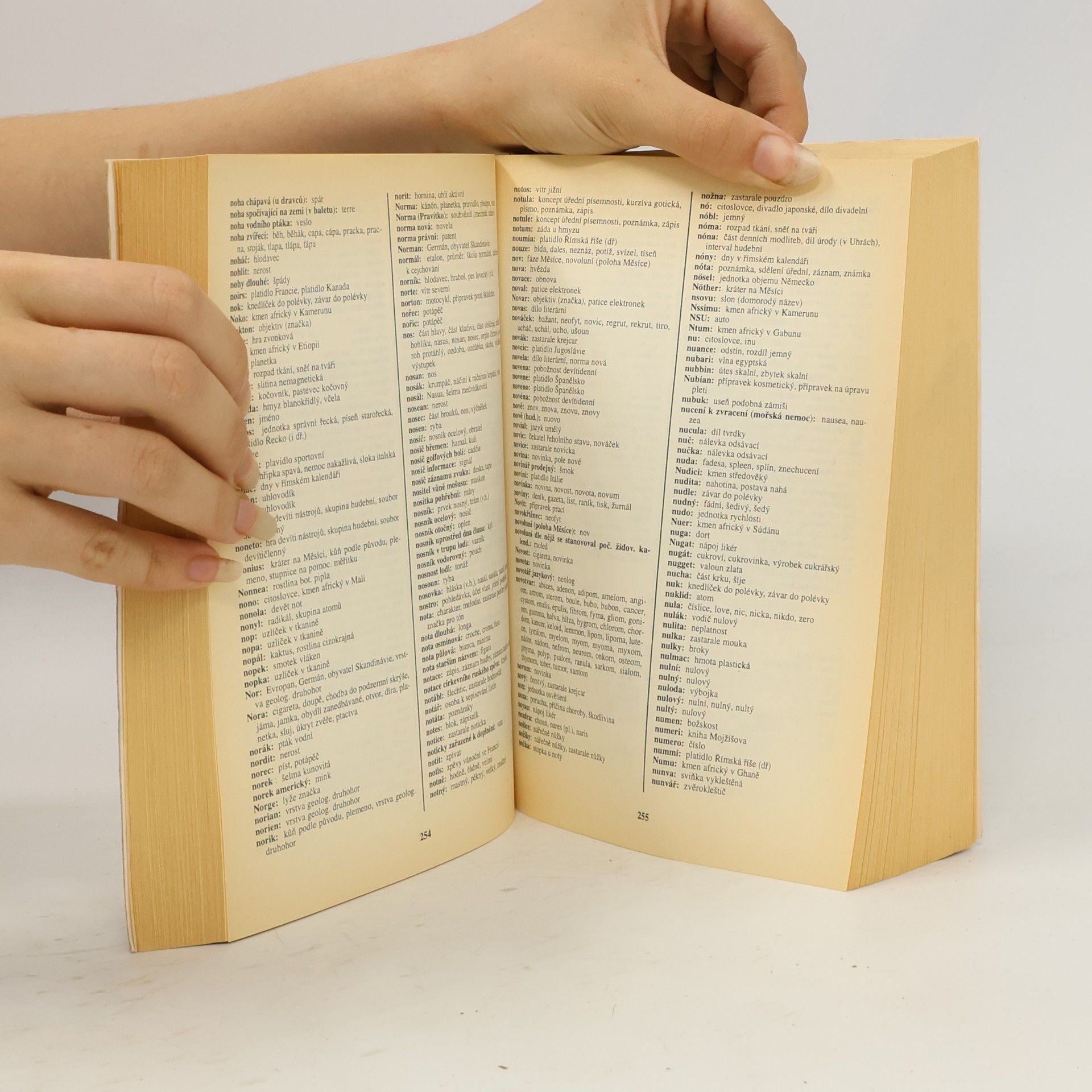 Various authors Křížovkářský slovník