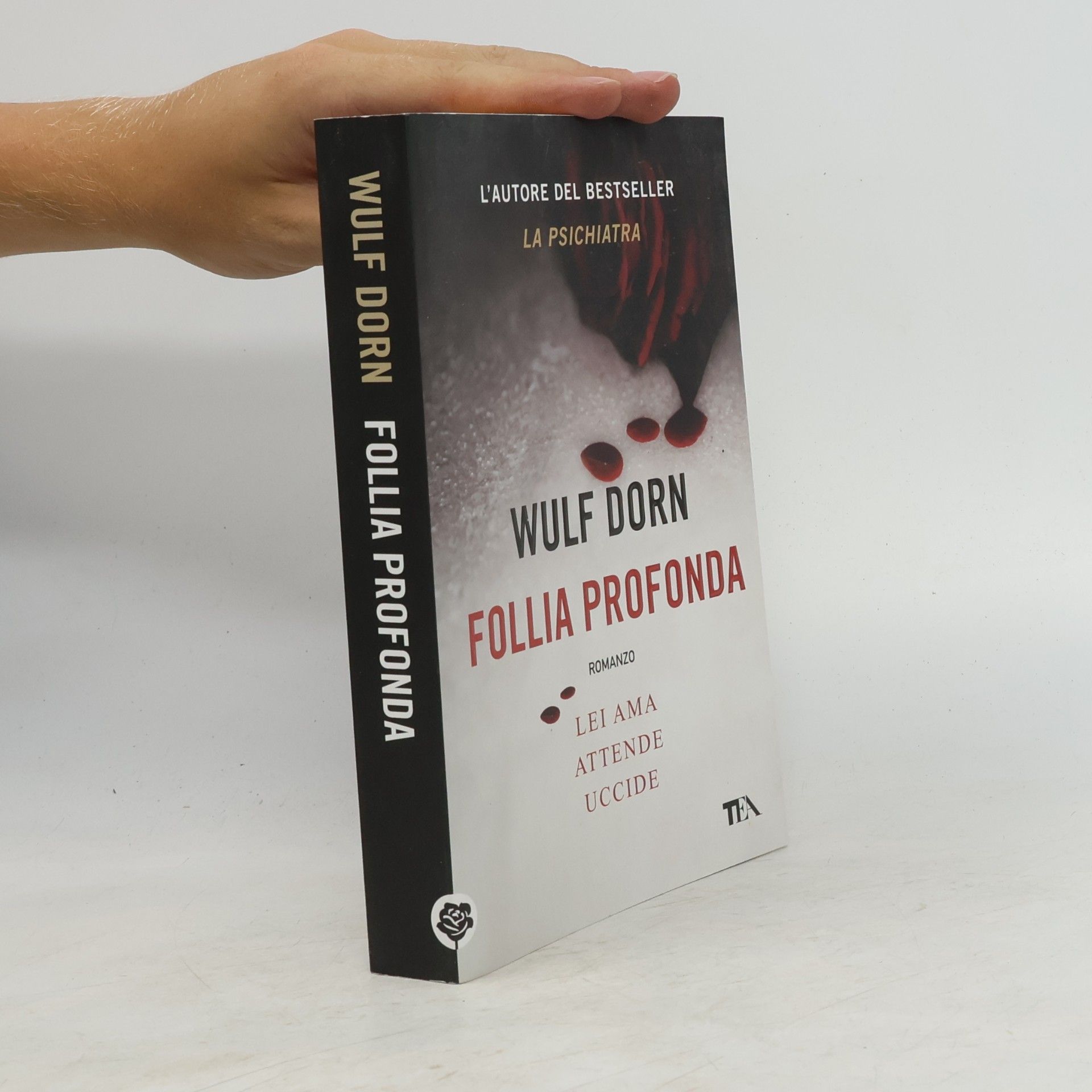 Wulf Dorn Follia profonda
