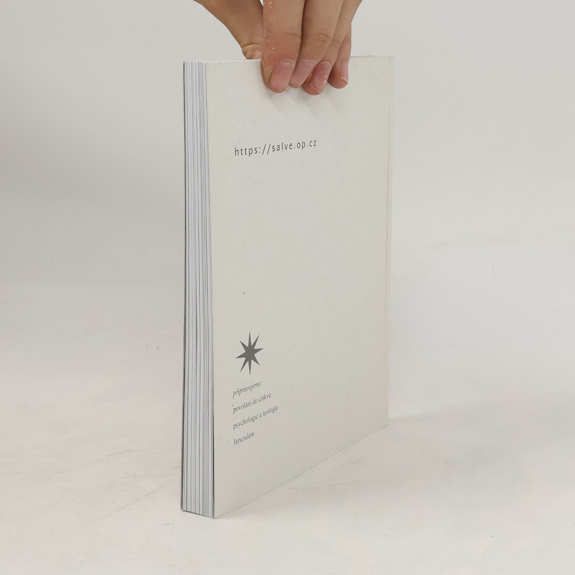 Collectif d'auteurs Salve. Revue pro teologii a duchovní život 3/2019