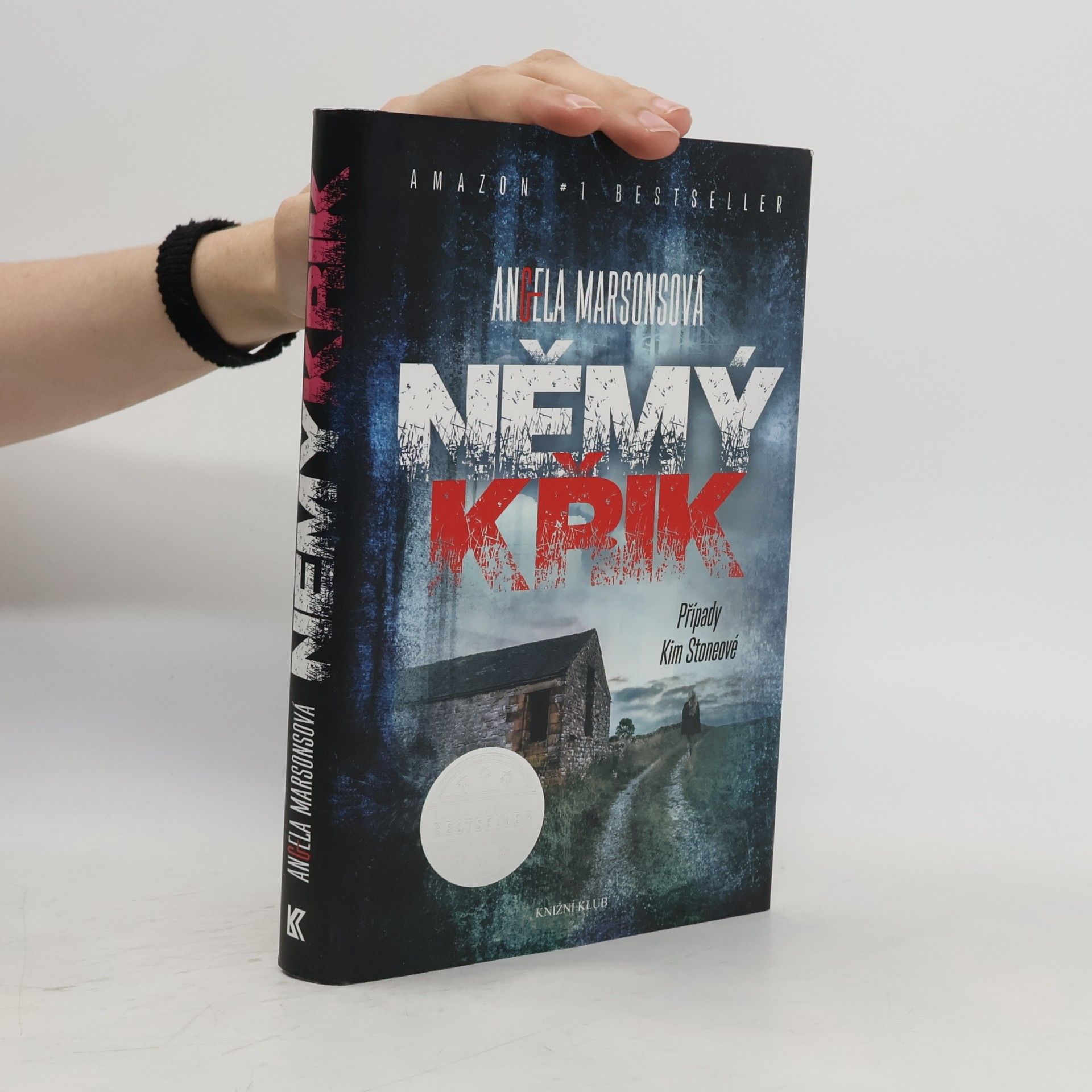 Angela Marsons Němý křik
