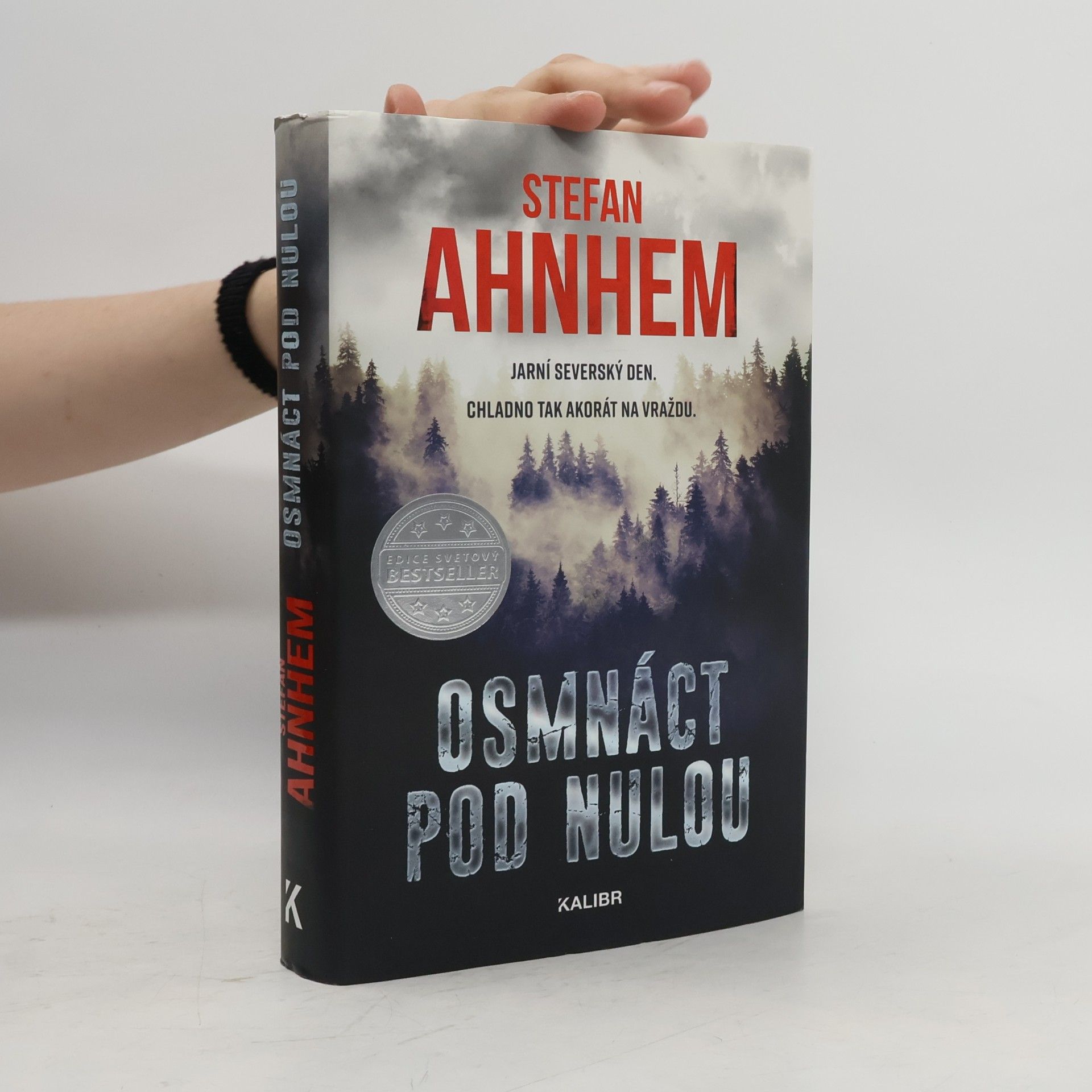 Stefan Ahnhem Osmnáct pod nulou