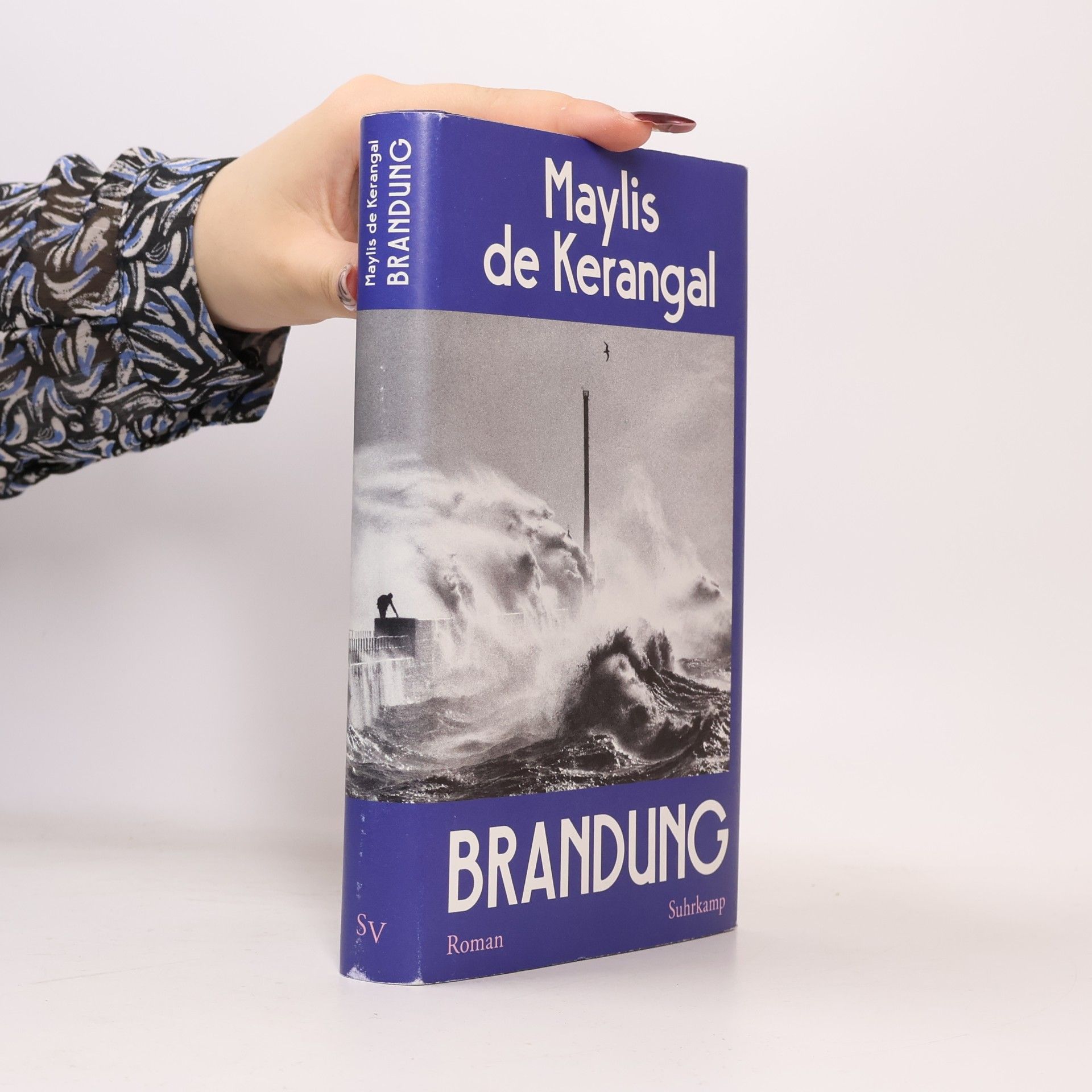 Maylis de Kerangal Brandung