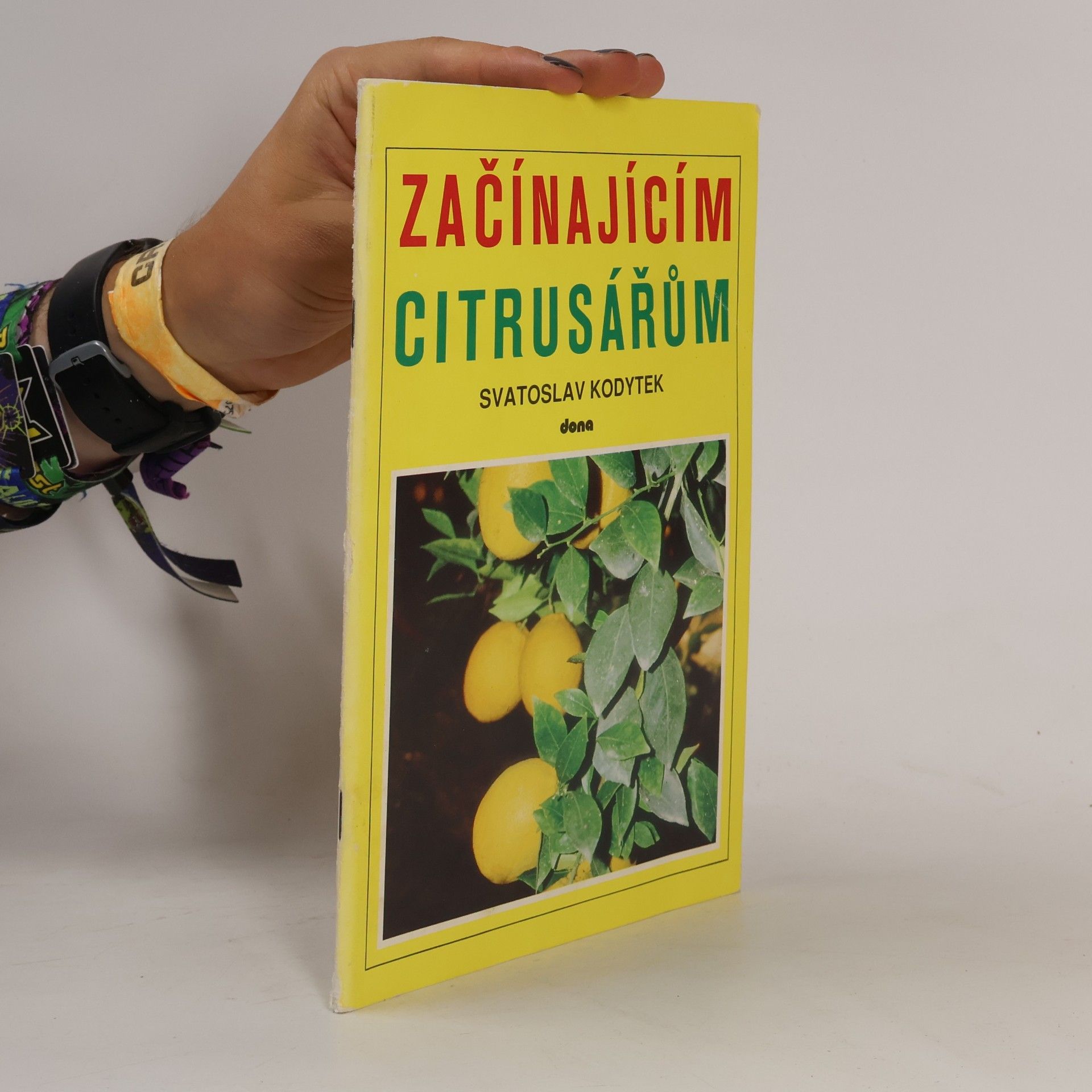 Svatoslav Kodytek Začínajícím citrusářům