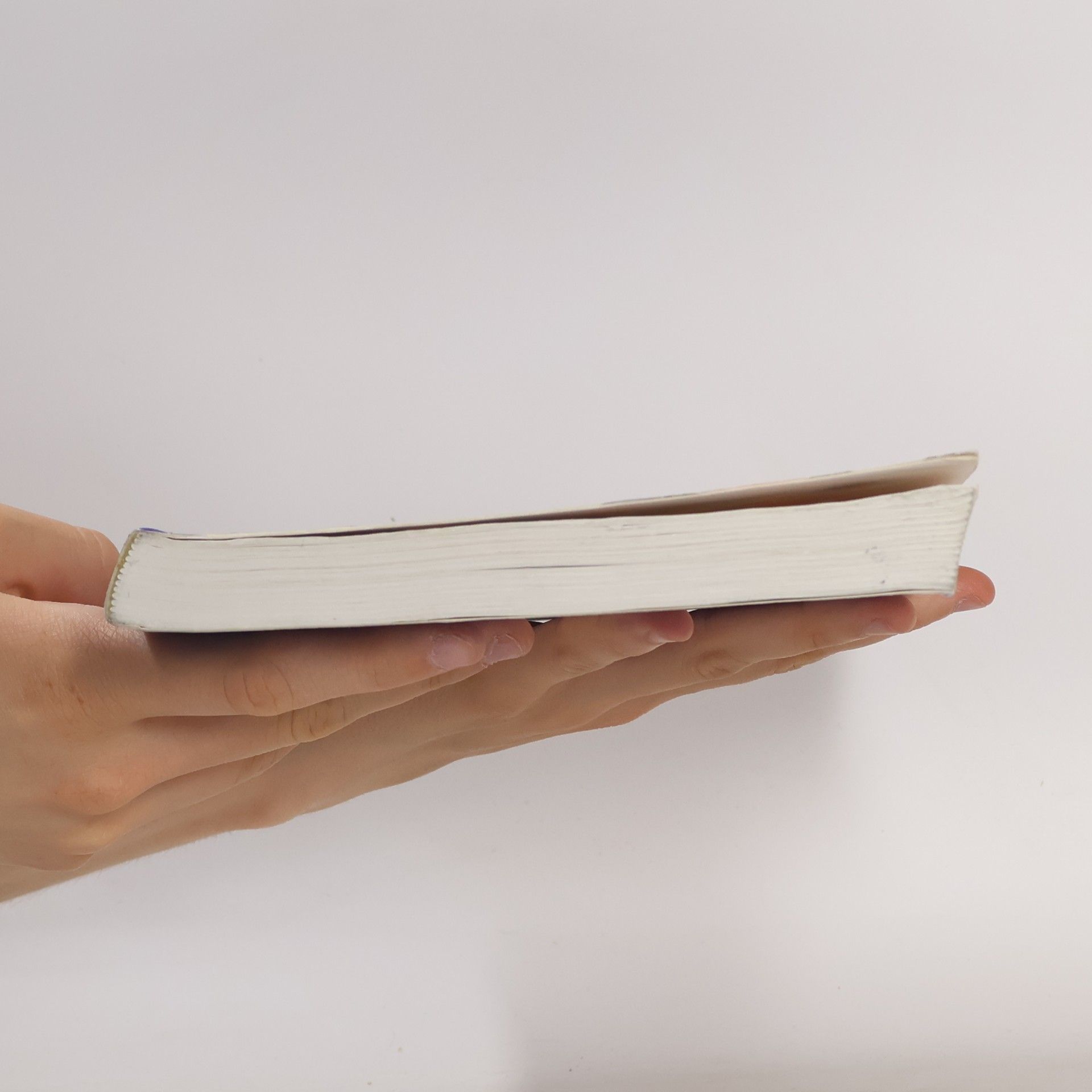 Manfred Mittermayer Literatur entdecken