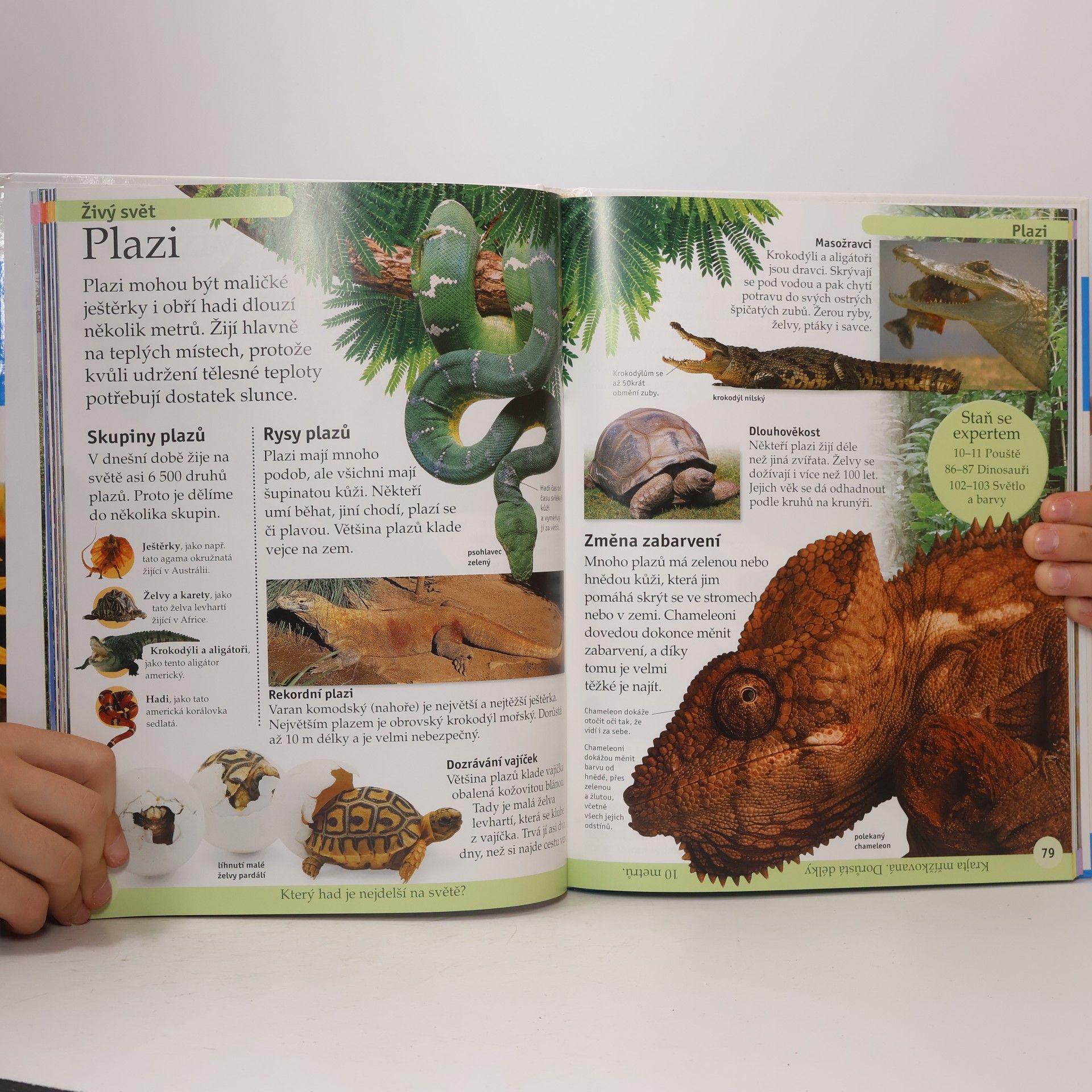 Autores varios První encyklopedie