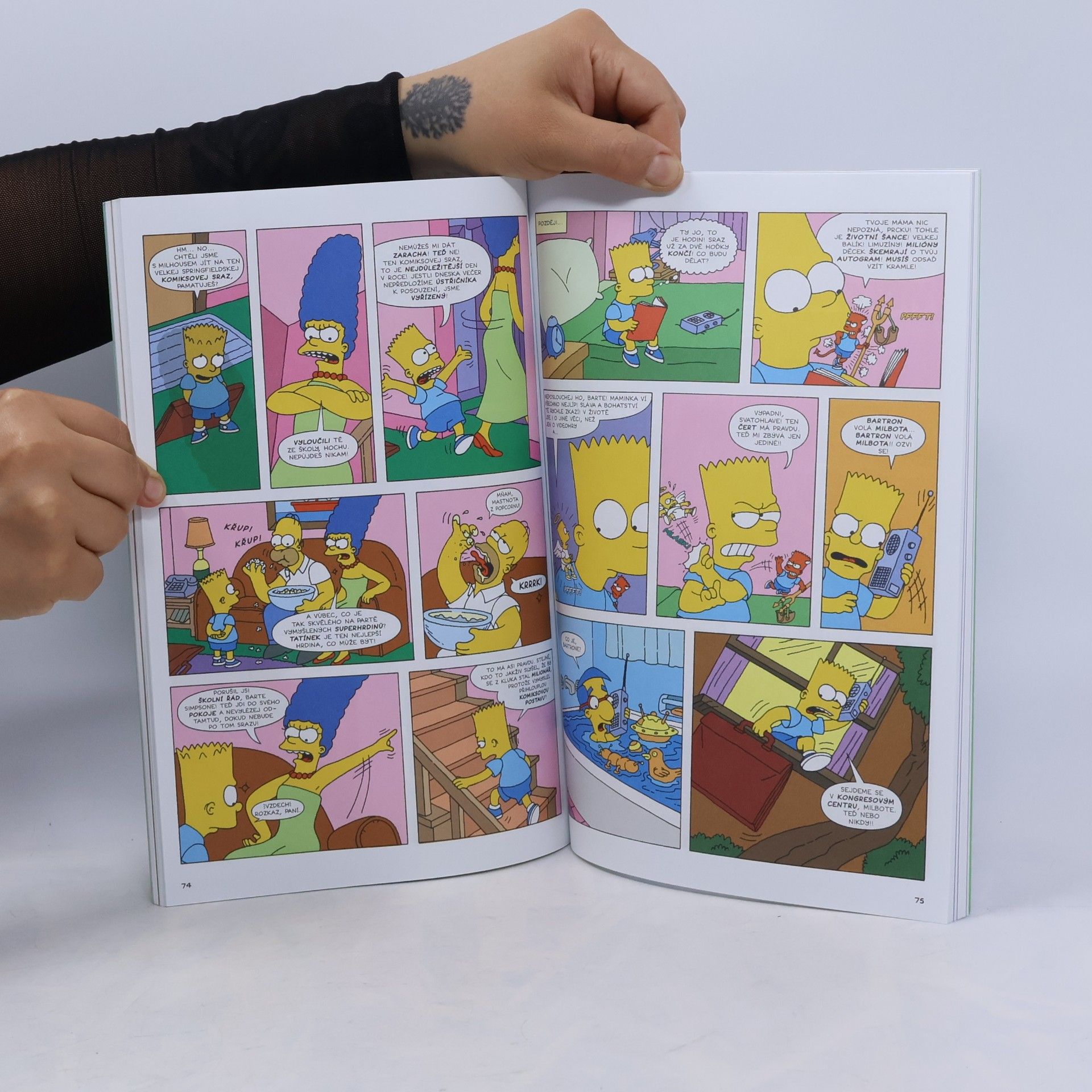 Bill Morrison Simpsonovi. Simpsoráma