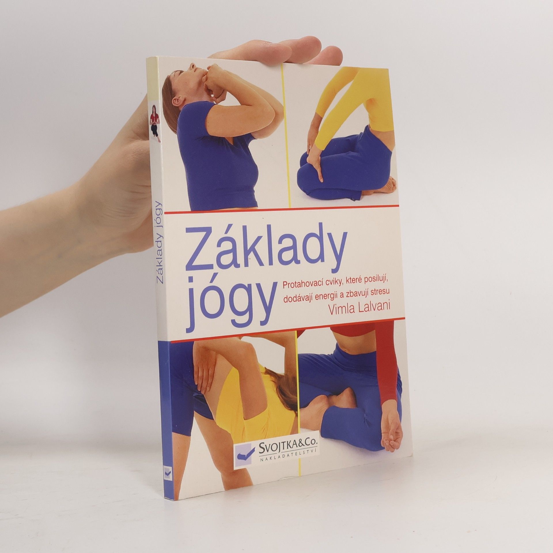 Vimla Lalvani Základy jógy: Protahovací cviky, které posilují, dodávají energii a zbavují stresu