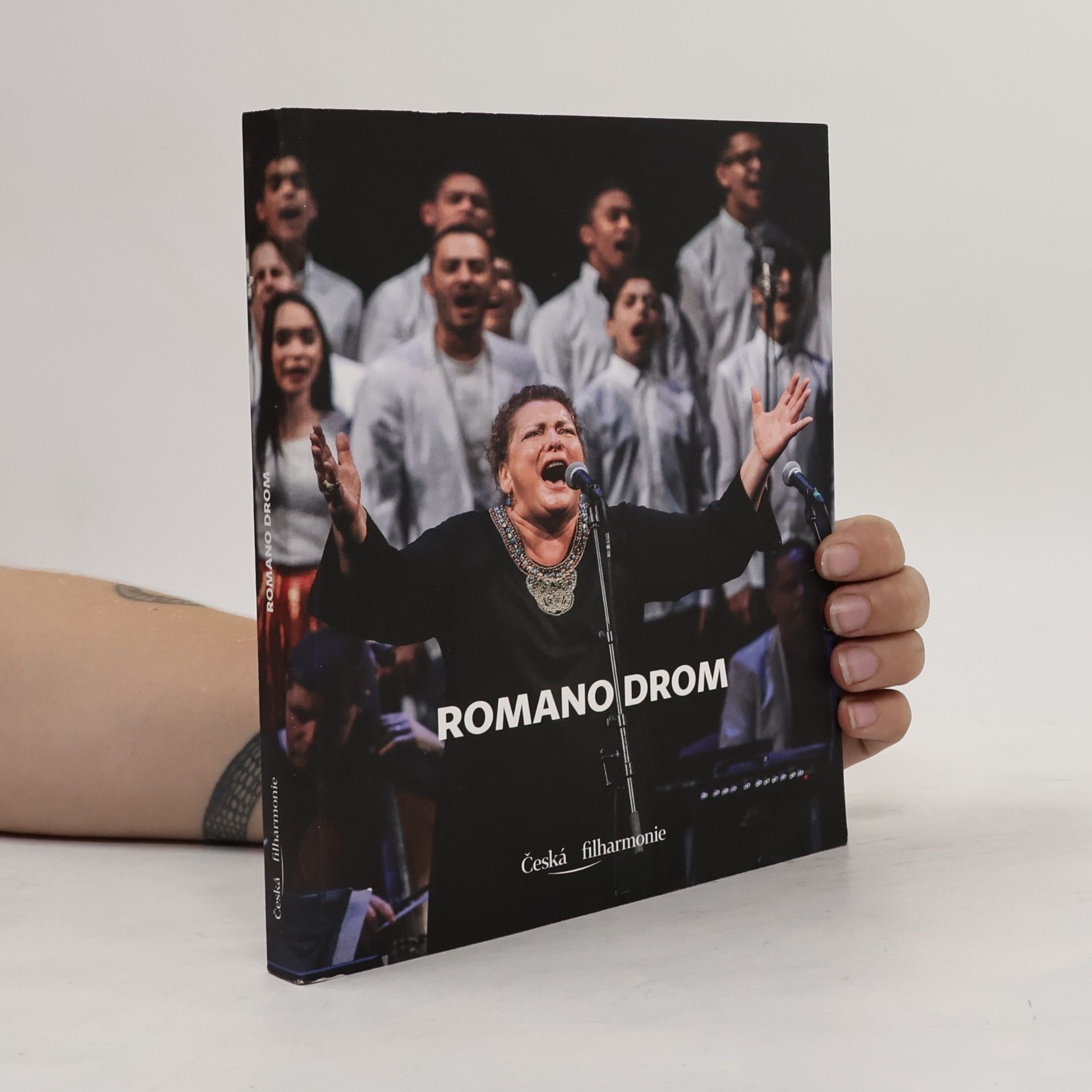 Kolektív autorov Romano Drom