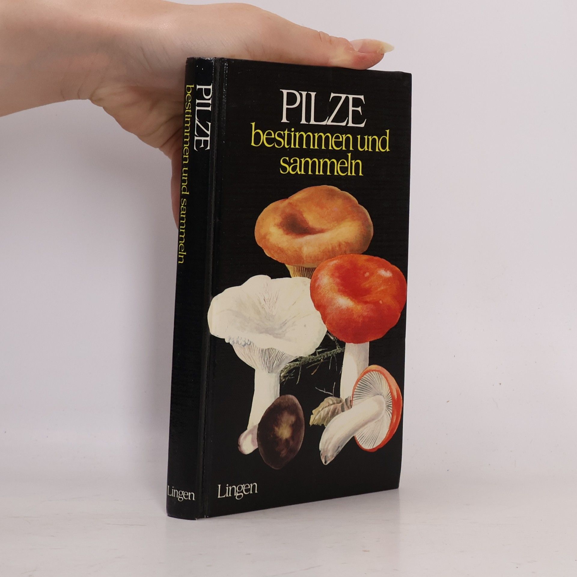 Autorenkollektiv Pilze bestimmen und sammeln