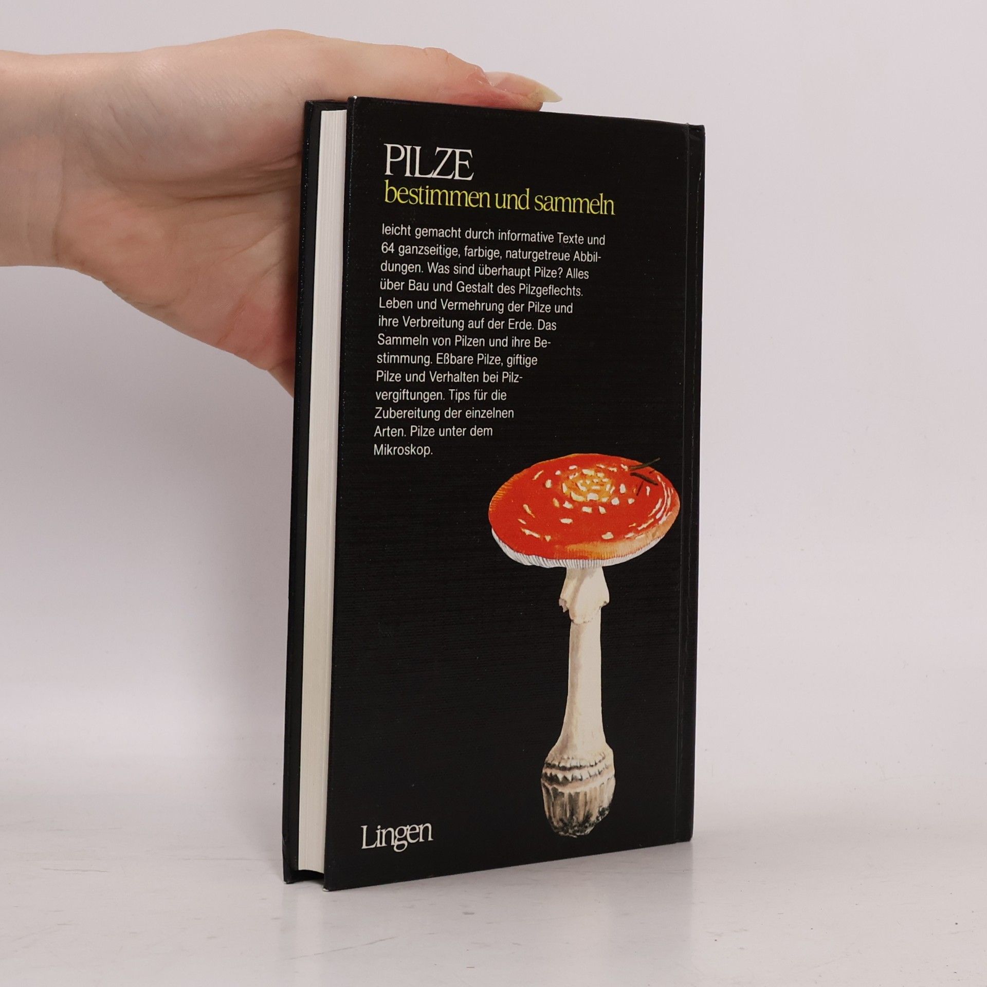 Autorenkollektiv Pilze bestimmen und sammeln