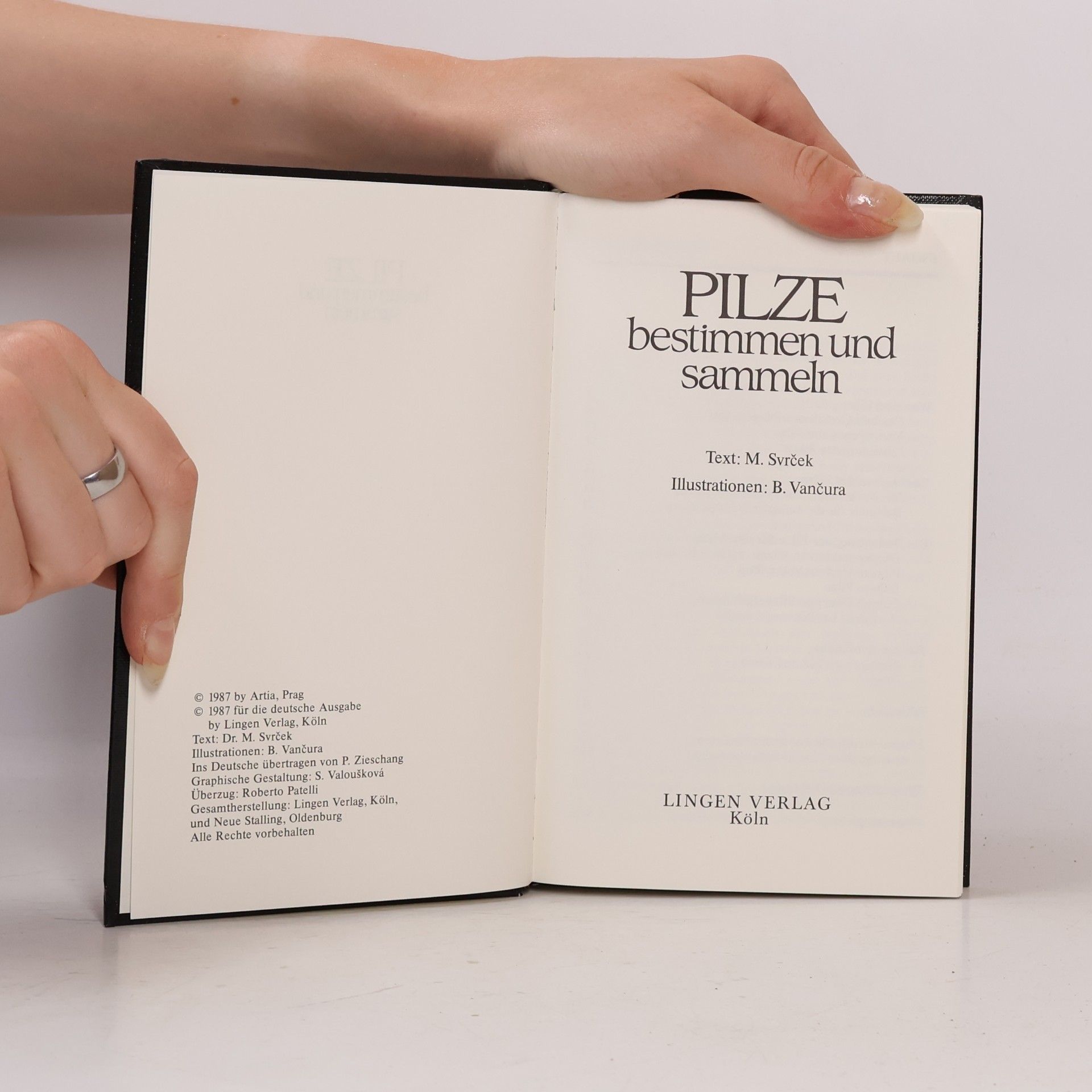 Autorenkollektiv Pilze bestimmen und sammeln