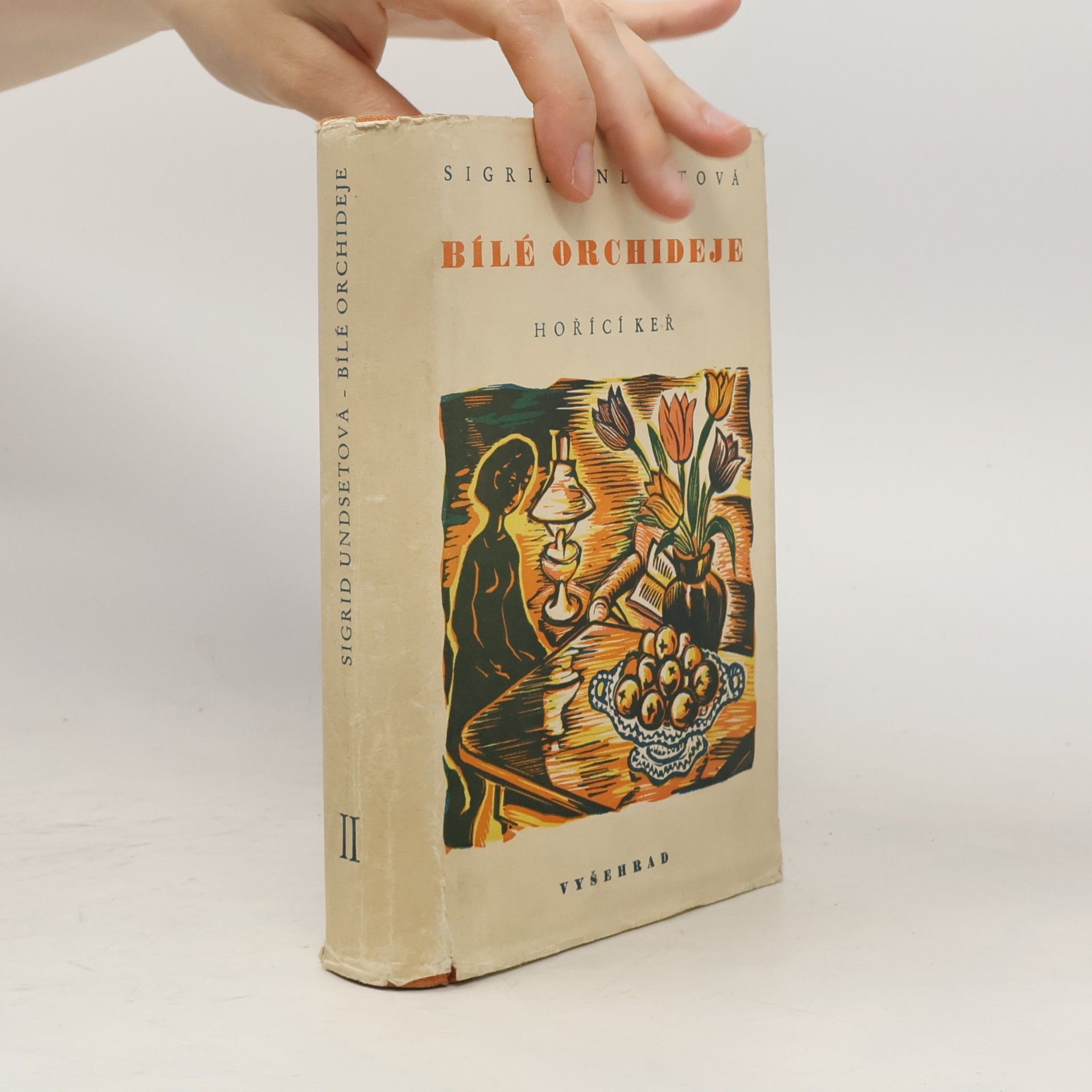 Karel V. Rypáček Bílé orchideje II, Hořící keř