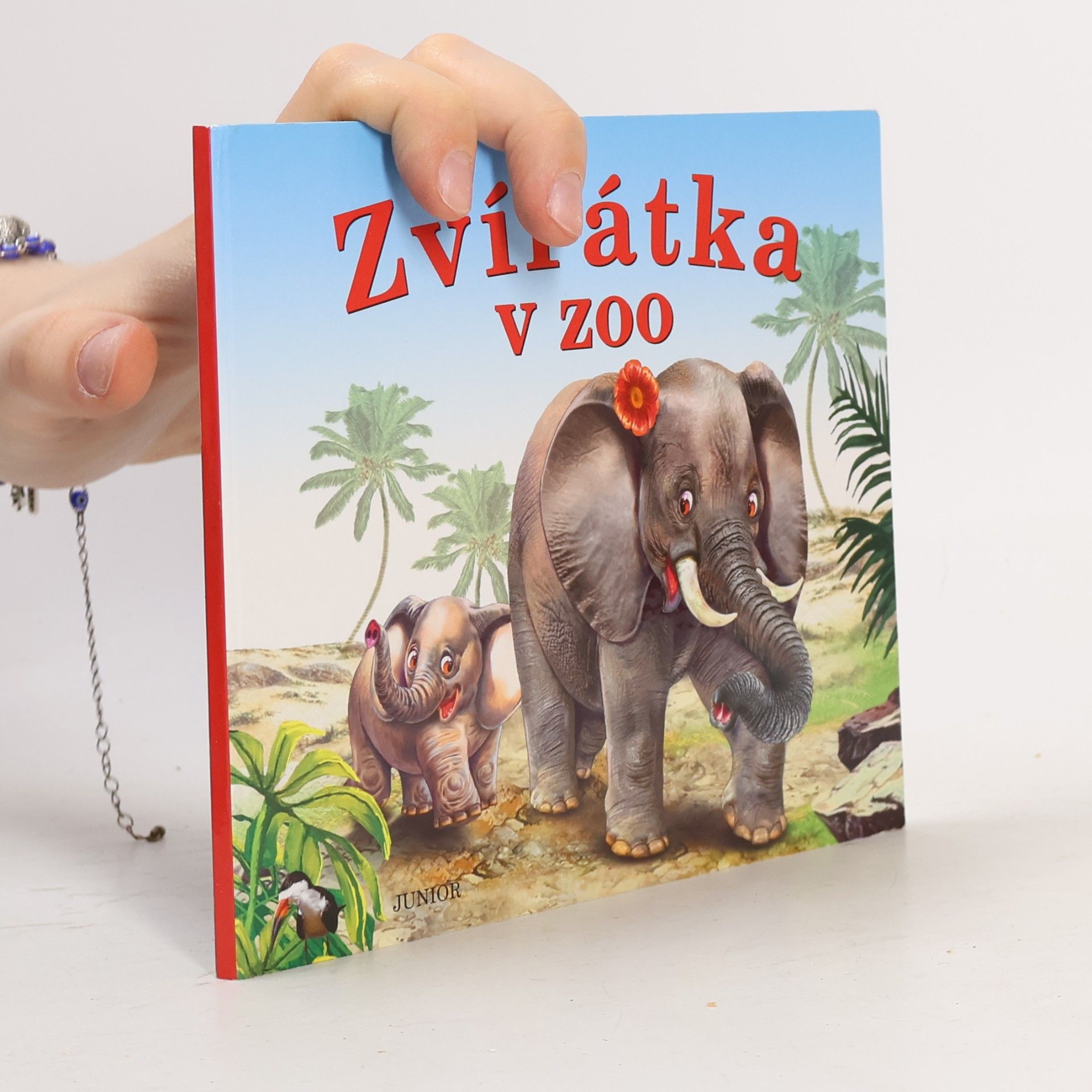 Kolektiv autorů Zvířátka v ZOO