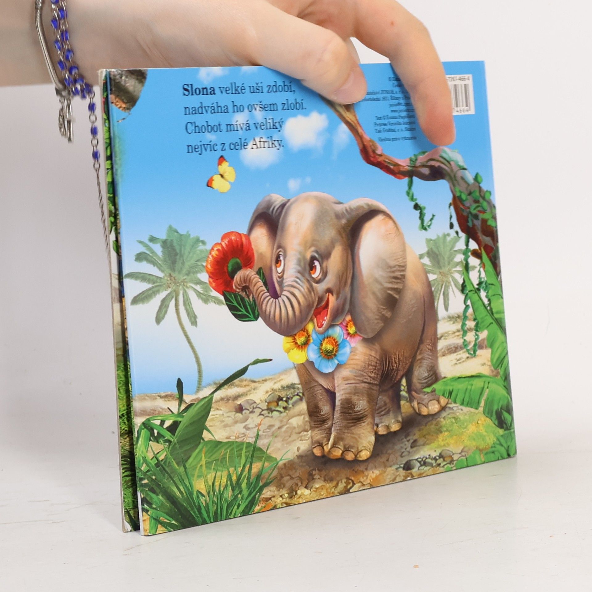 Kolektiv autorů Zvířátka v ZOO