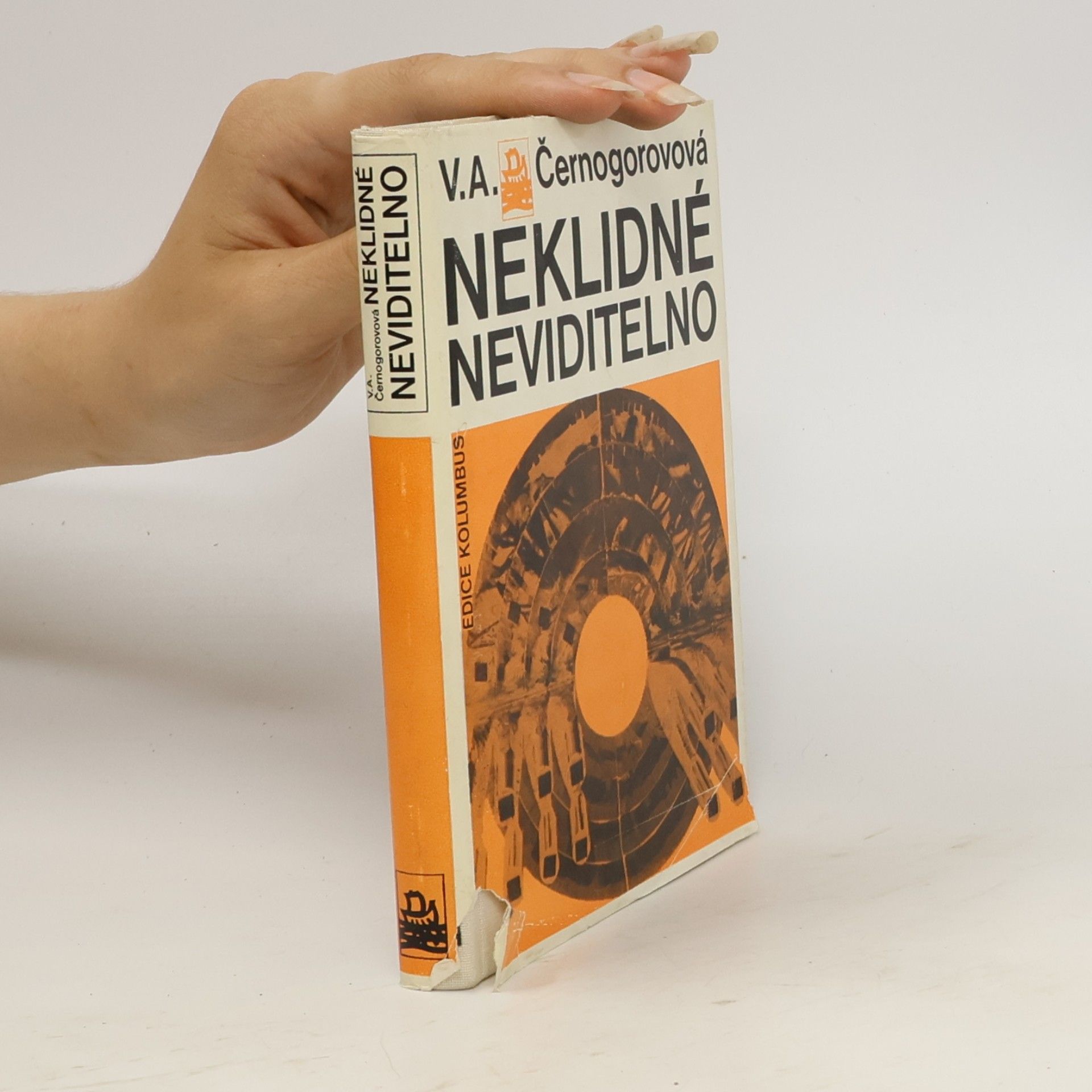 Vera Aleksandrovna Černogorova Neklidné neviditelno