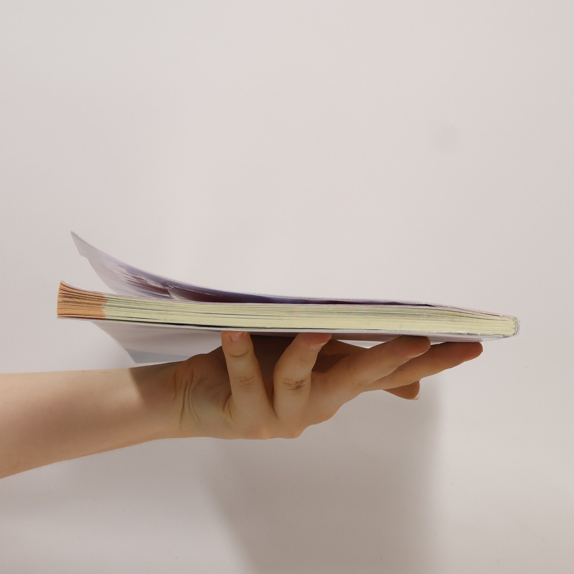 Laura Birghi INVALSI insieme. Prove INVALSI di matematica. Per la scuola media. Con e-book. Con espansione online