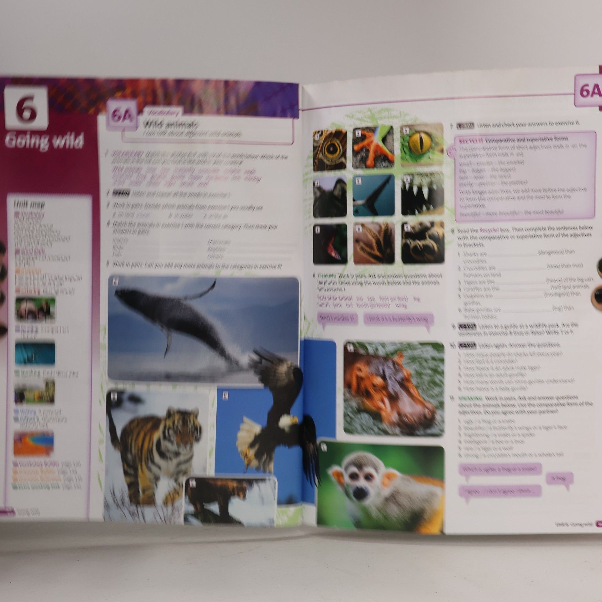 Tim Falla Maturita solutions : third edition. Elementary. Student's book