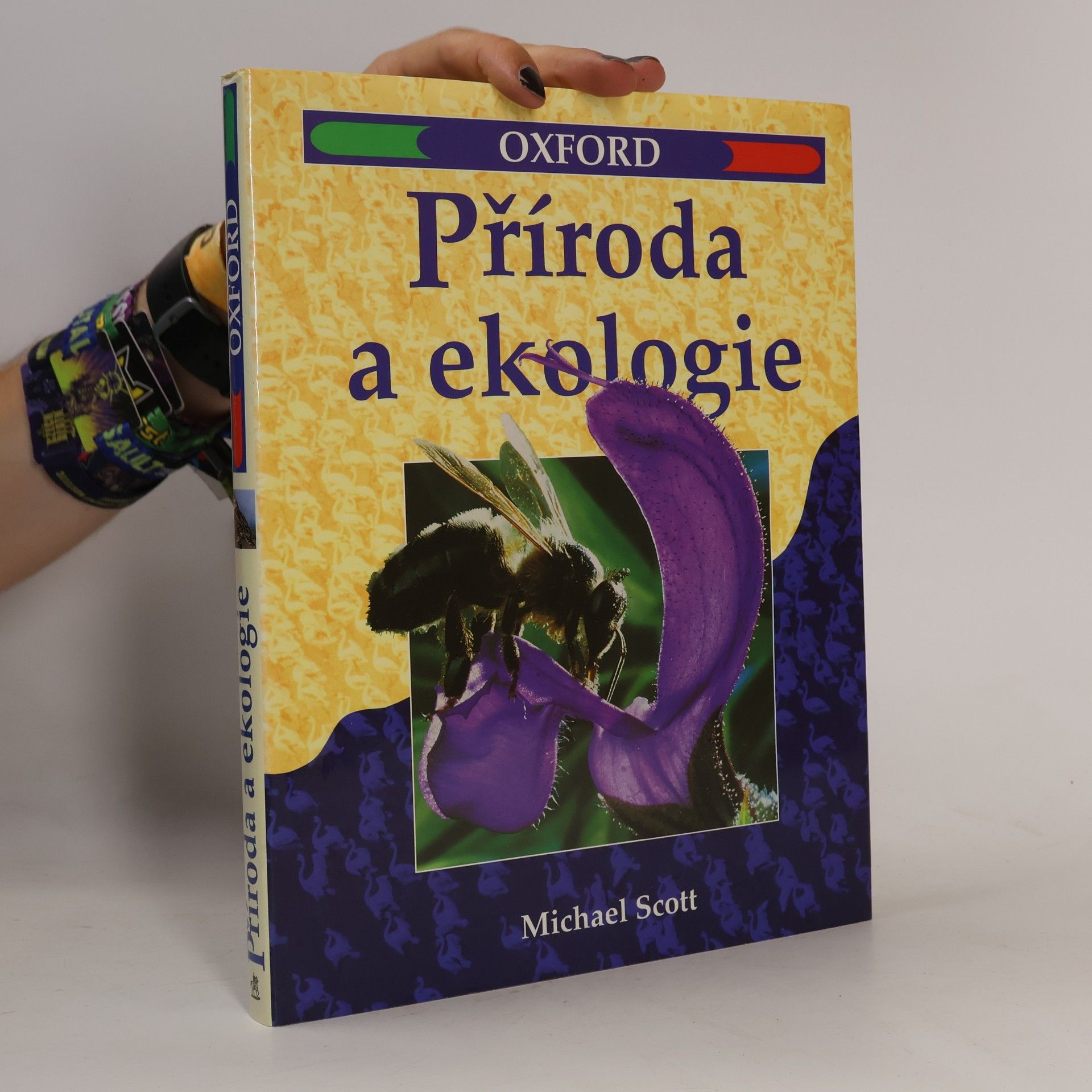 Romana Anděrová Příroda a ekologie