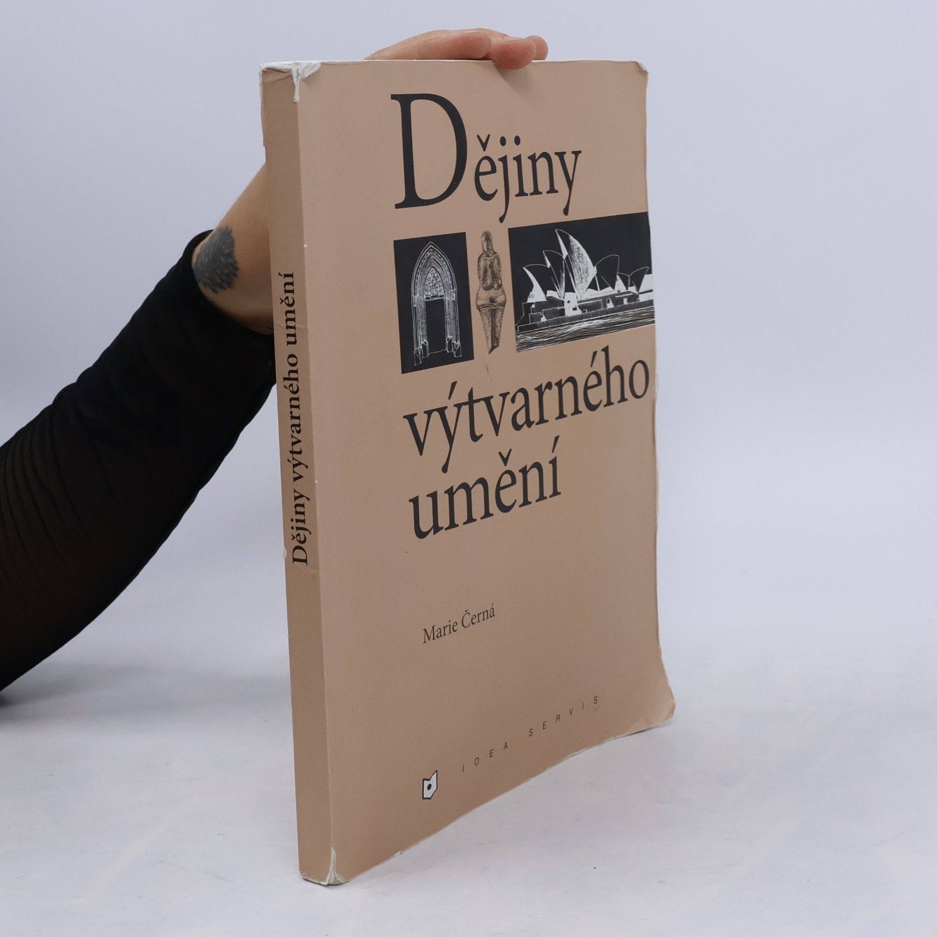 Marie Černá Dějiny výtvarného umění