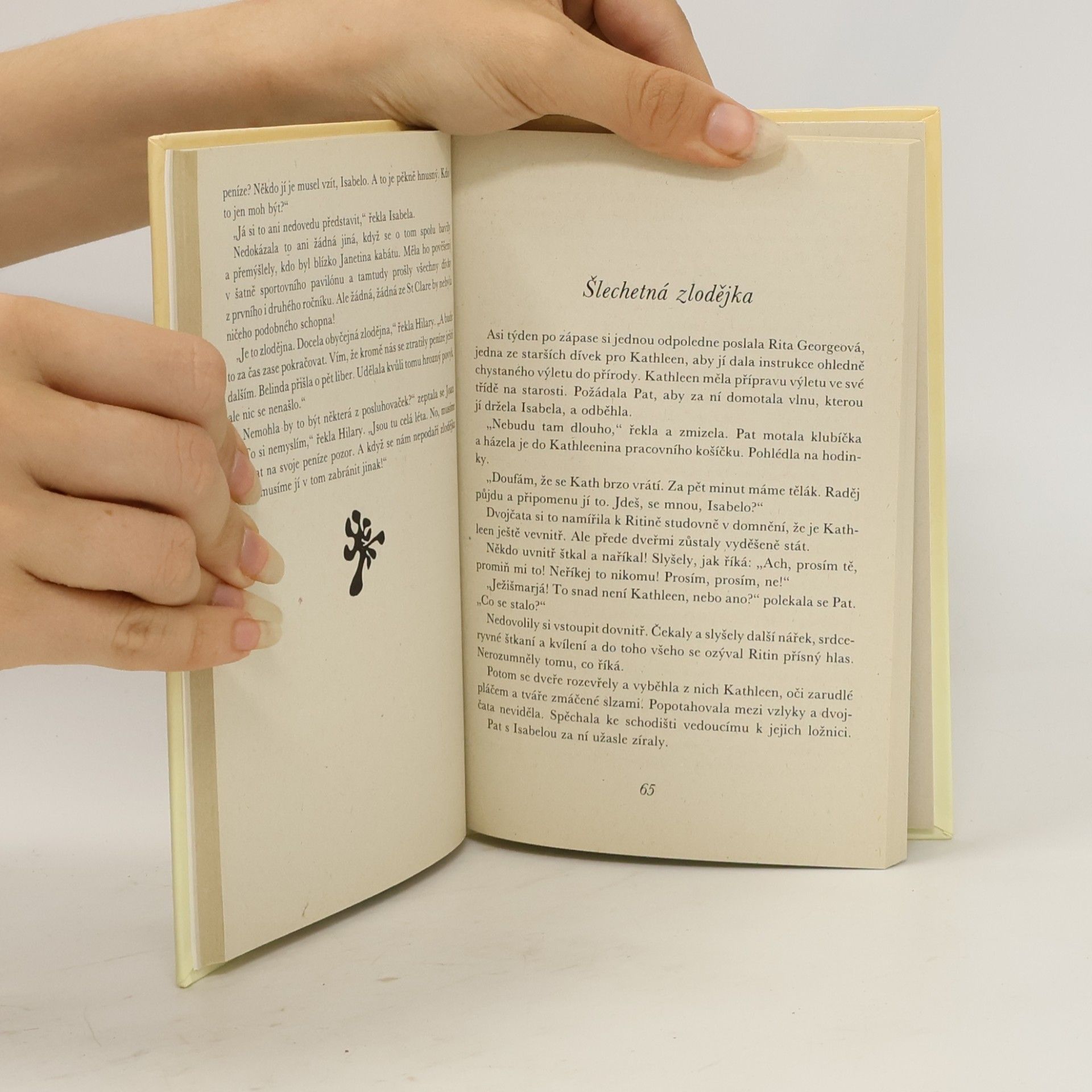 Enid Blyton Podařená dvojčata