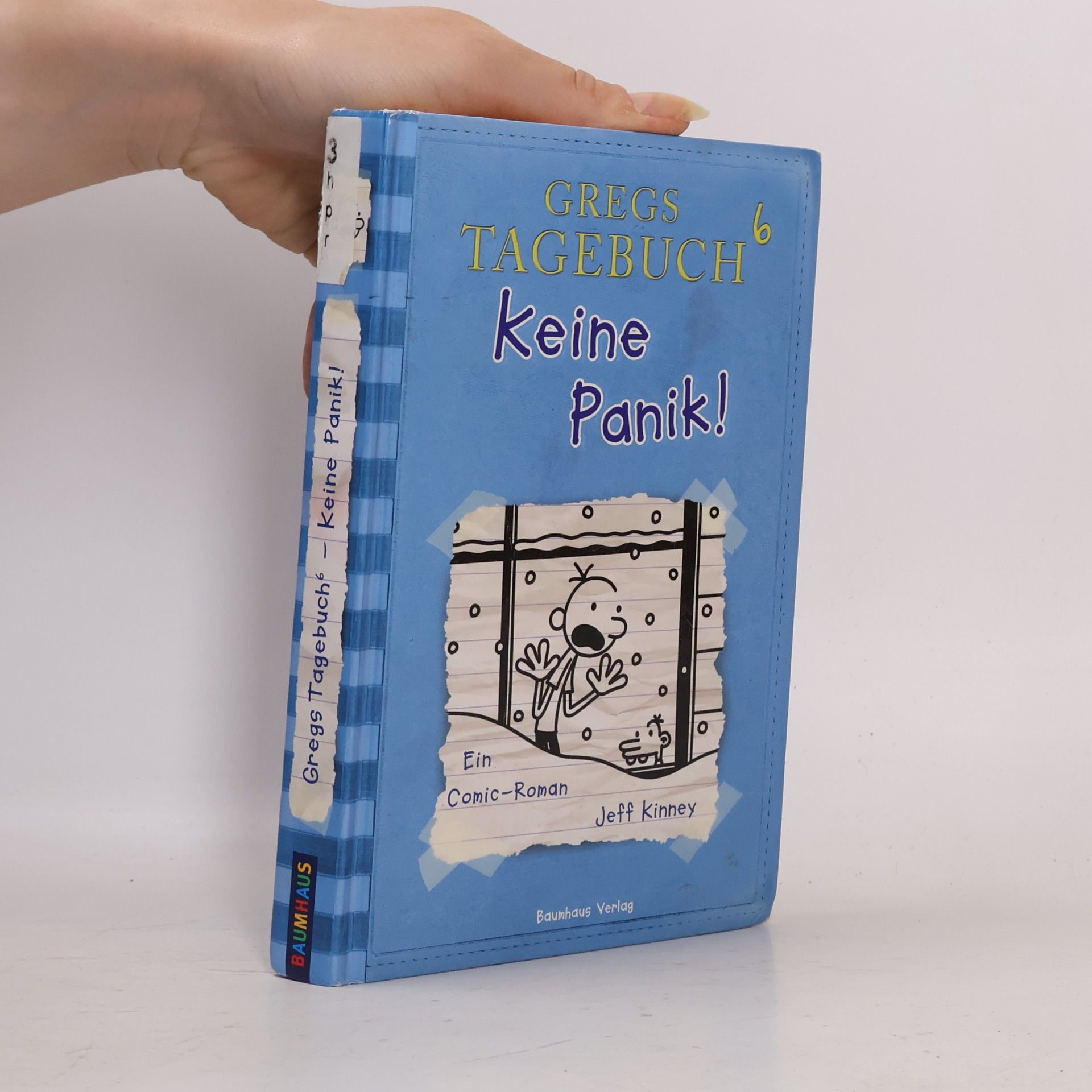 Jeff Kinney Gregs Tagebuch 6. Keine Panik!