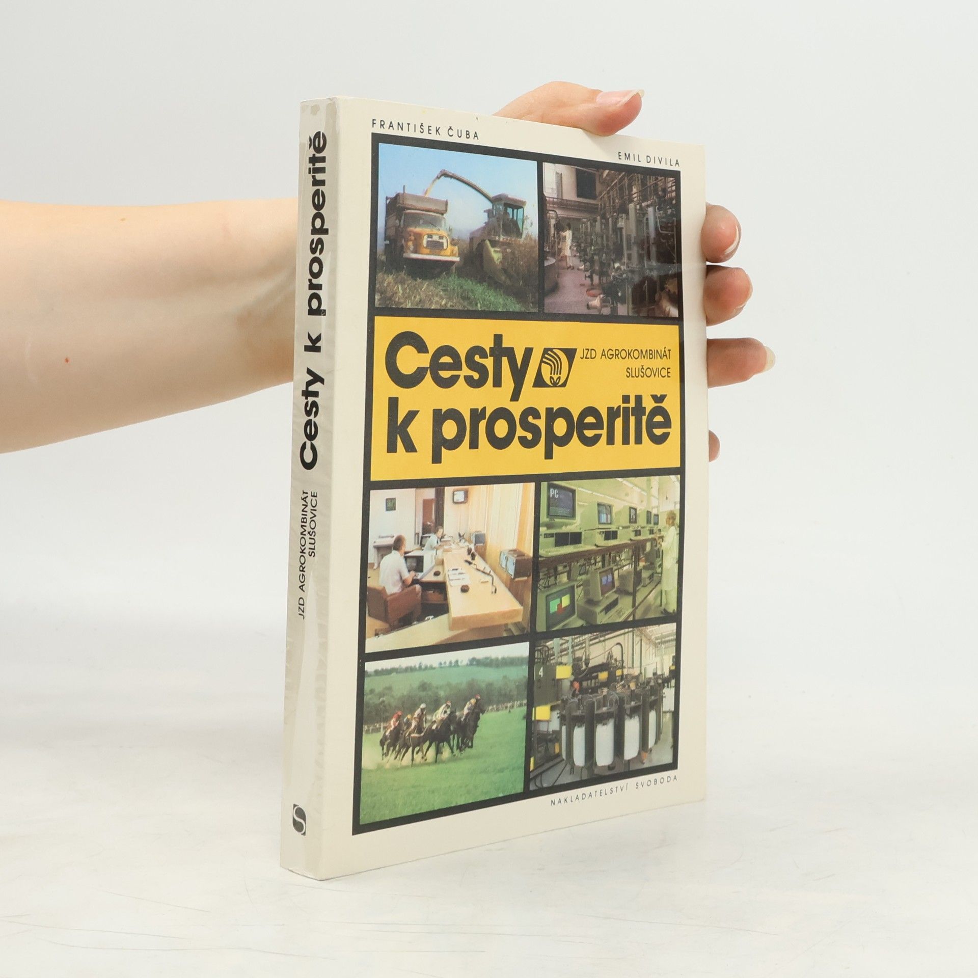 Emil Divila Cesty k prosperitě