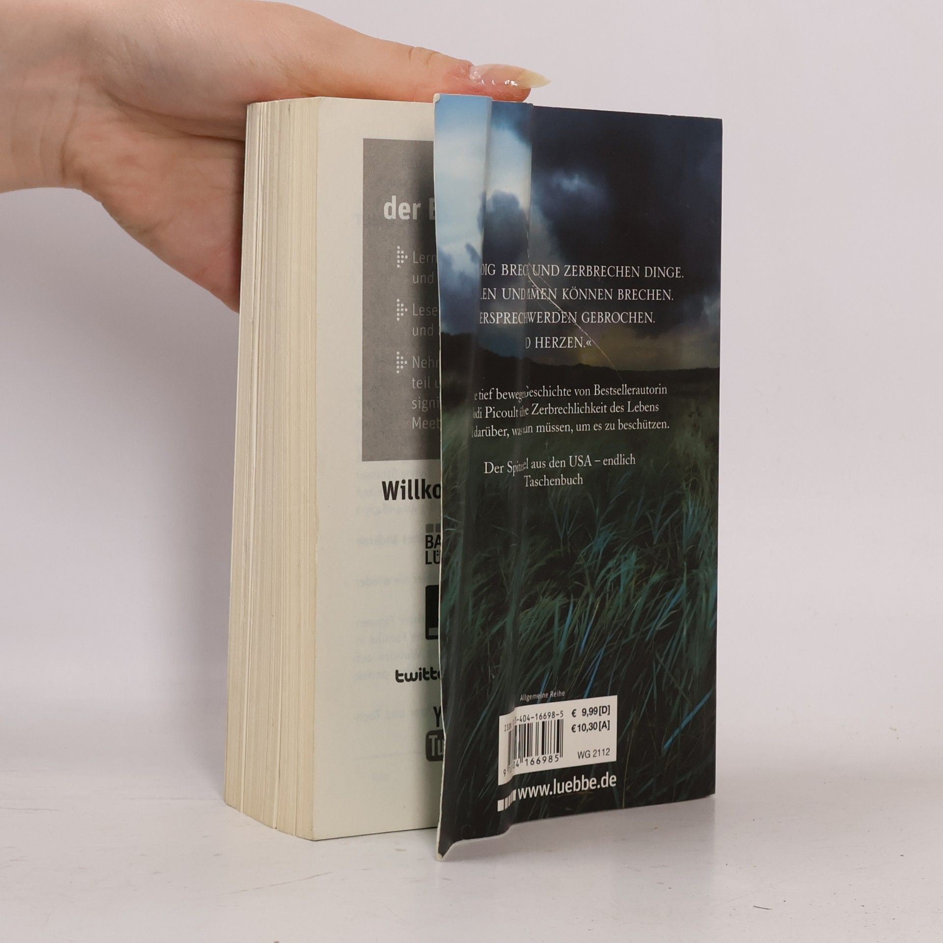 Jodi Picoult Zerbrechlich