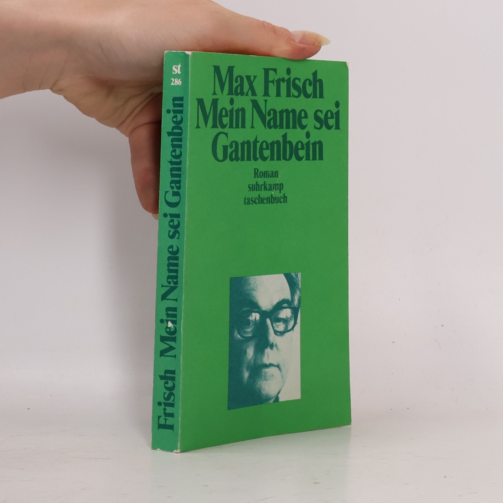 Max Frisch Mein Name sei Gantenbein