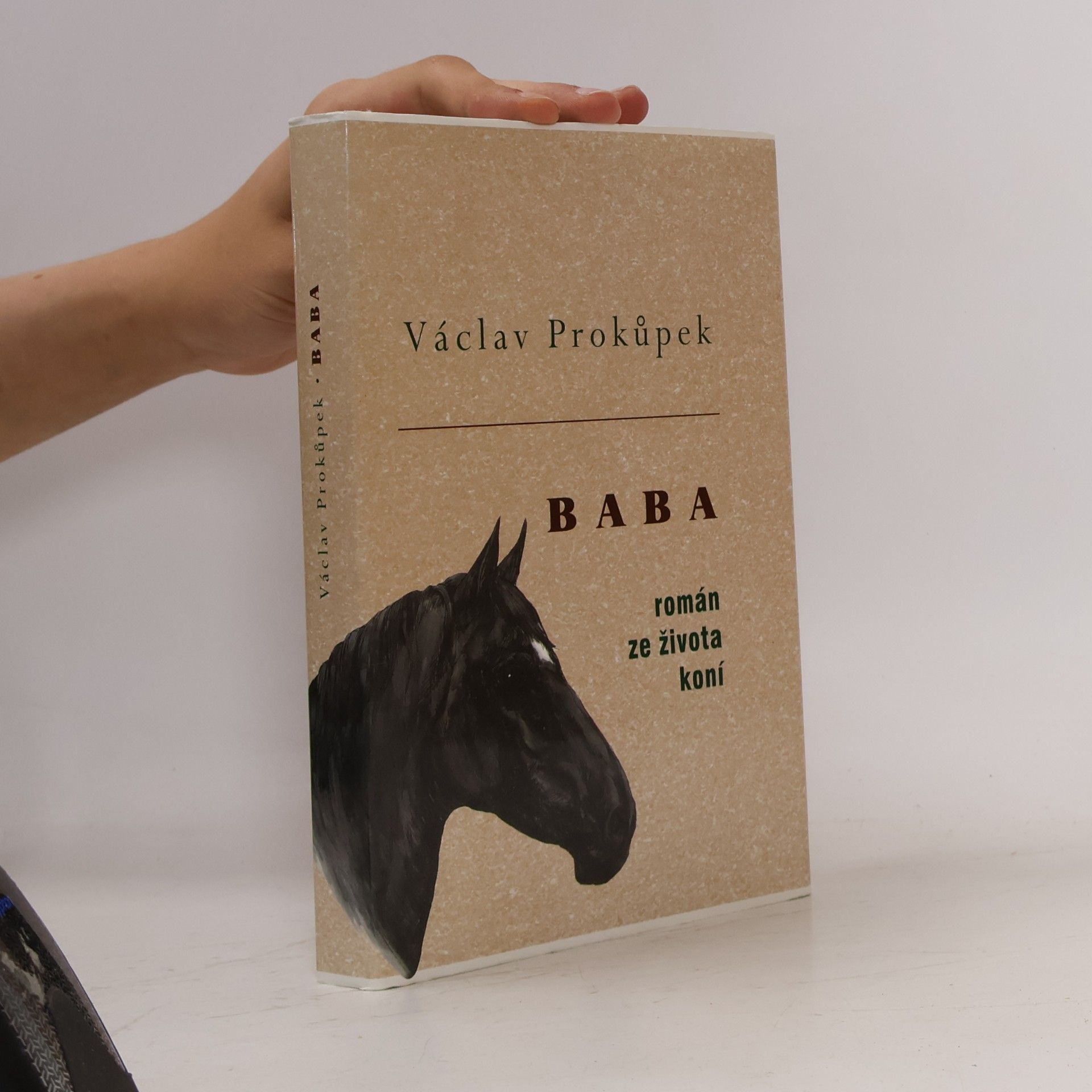 Václav Prokůpek Baba