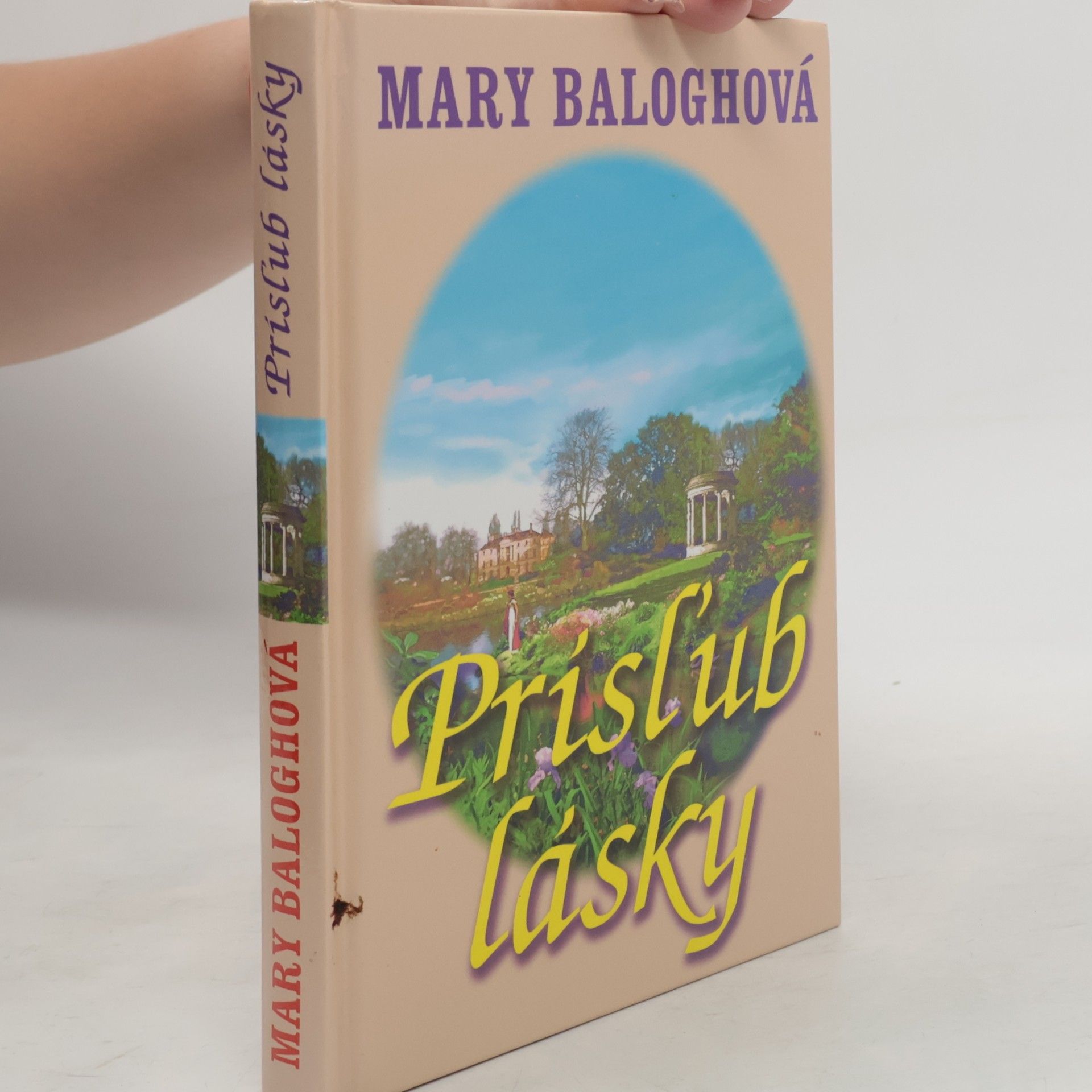 Mary Jenkins Prísľub lásky