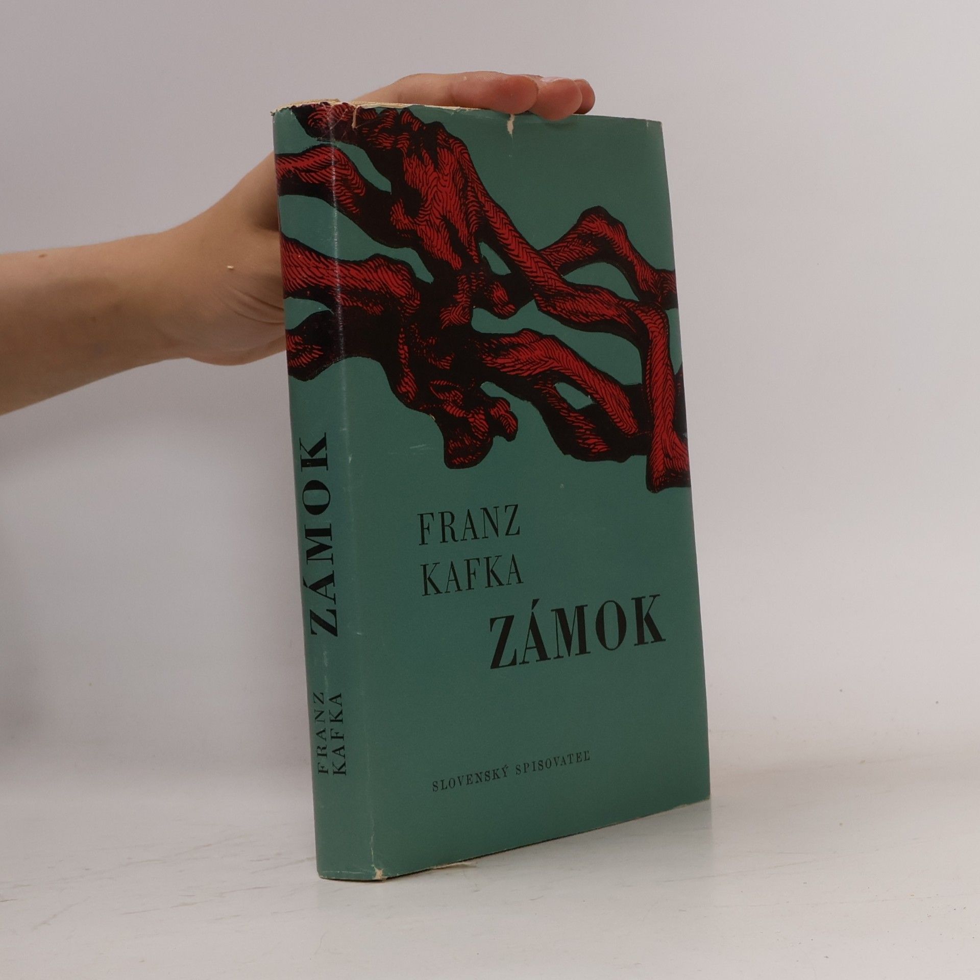 Franz Kafka Zámok