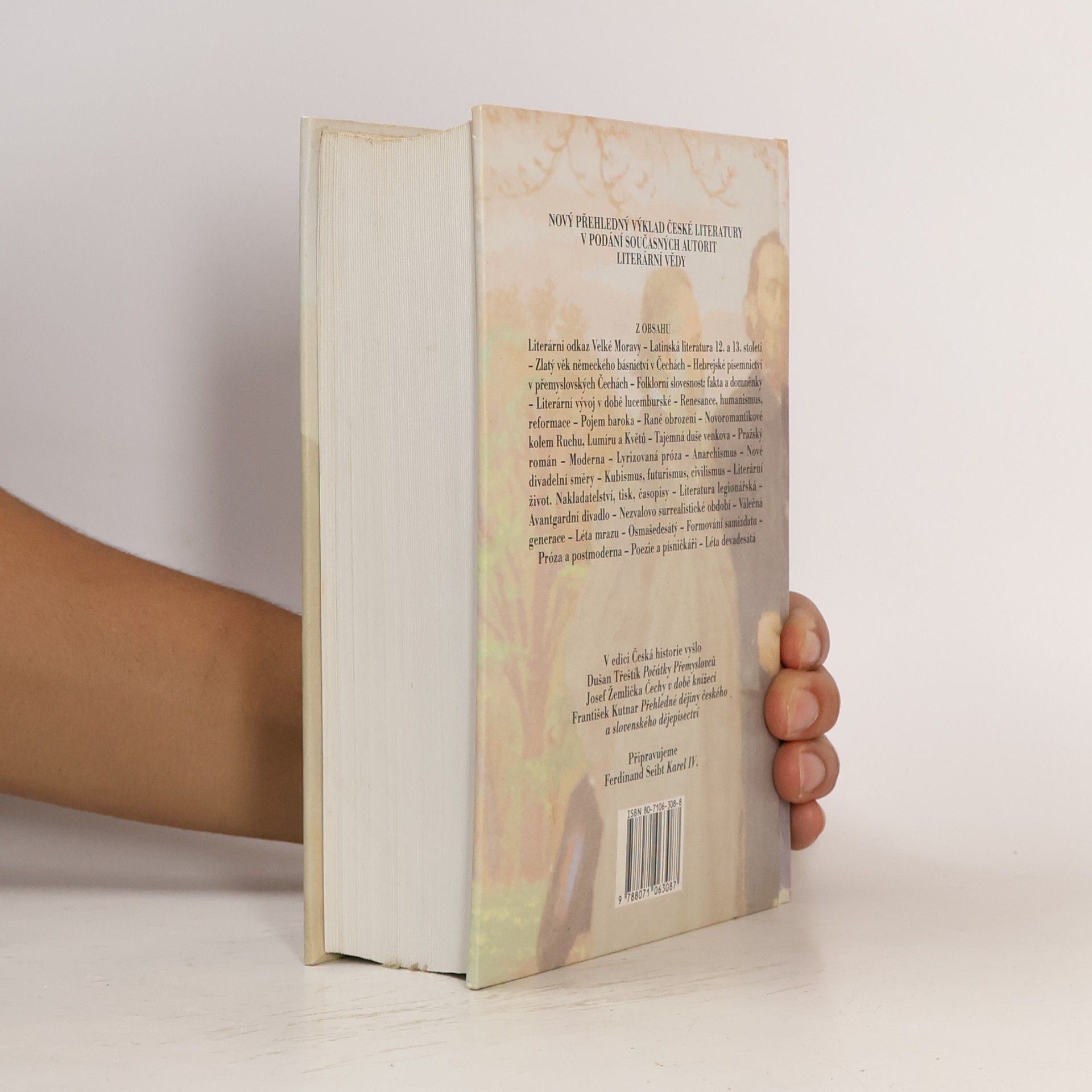 Jiří Holý Česká literatura od počátků k dnešku