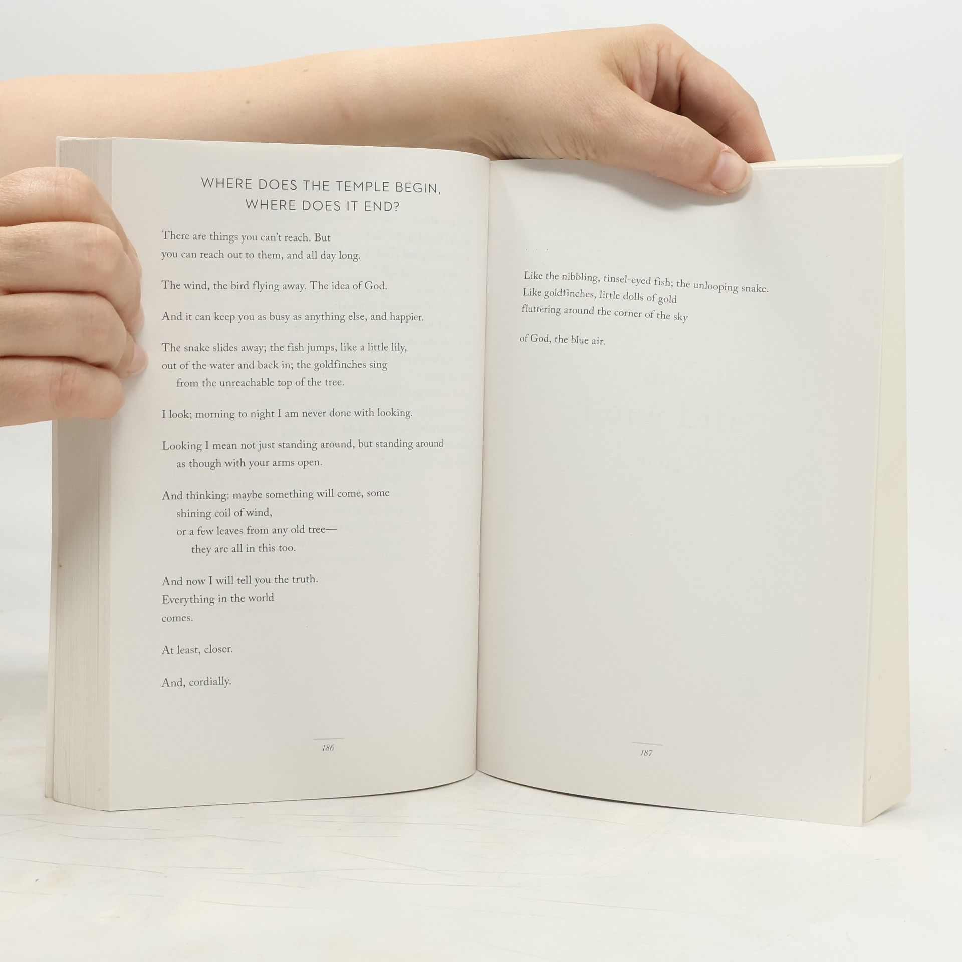 Mary Oliver Devotions