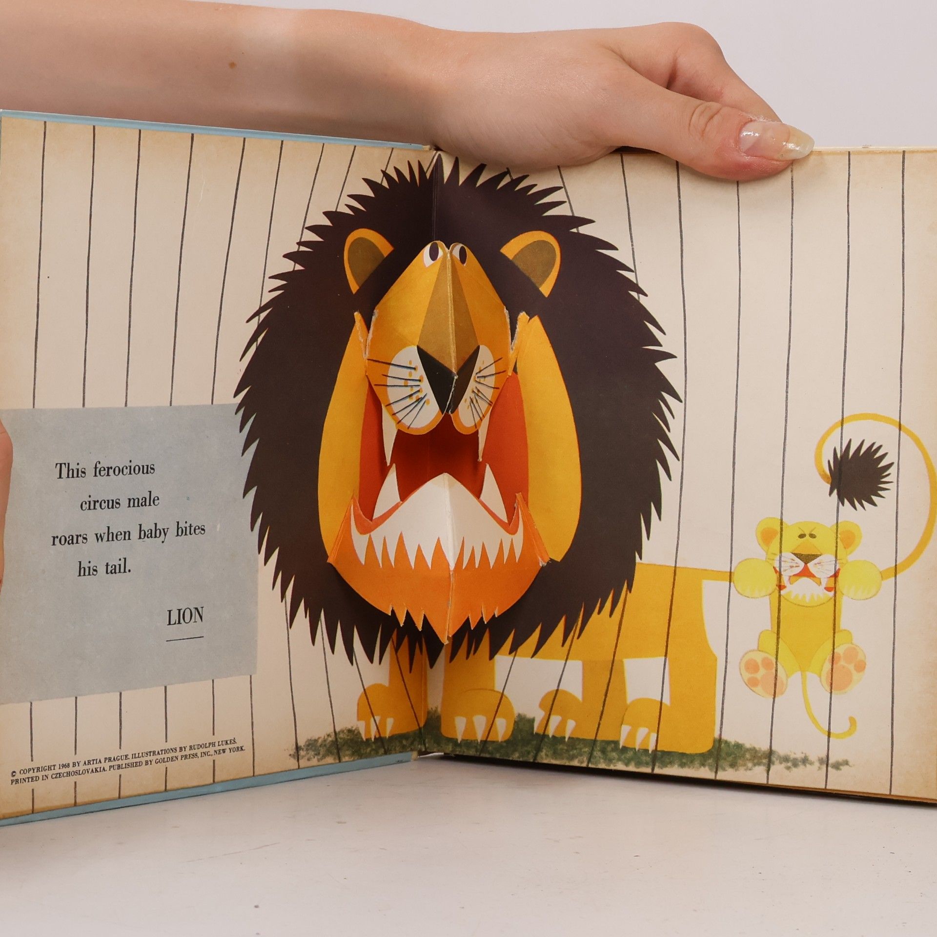 Collectif d'auteurs Lion und his Friends